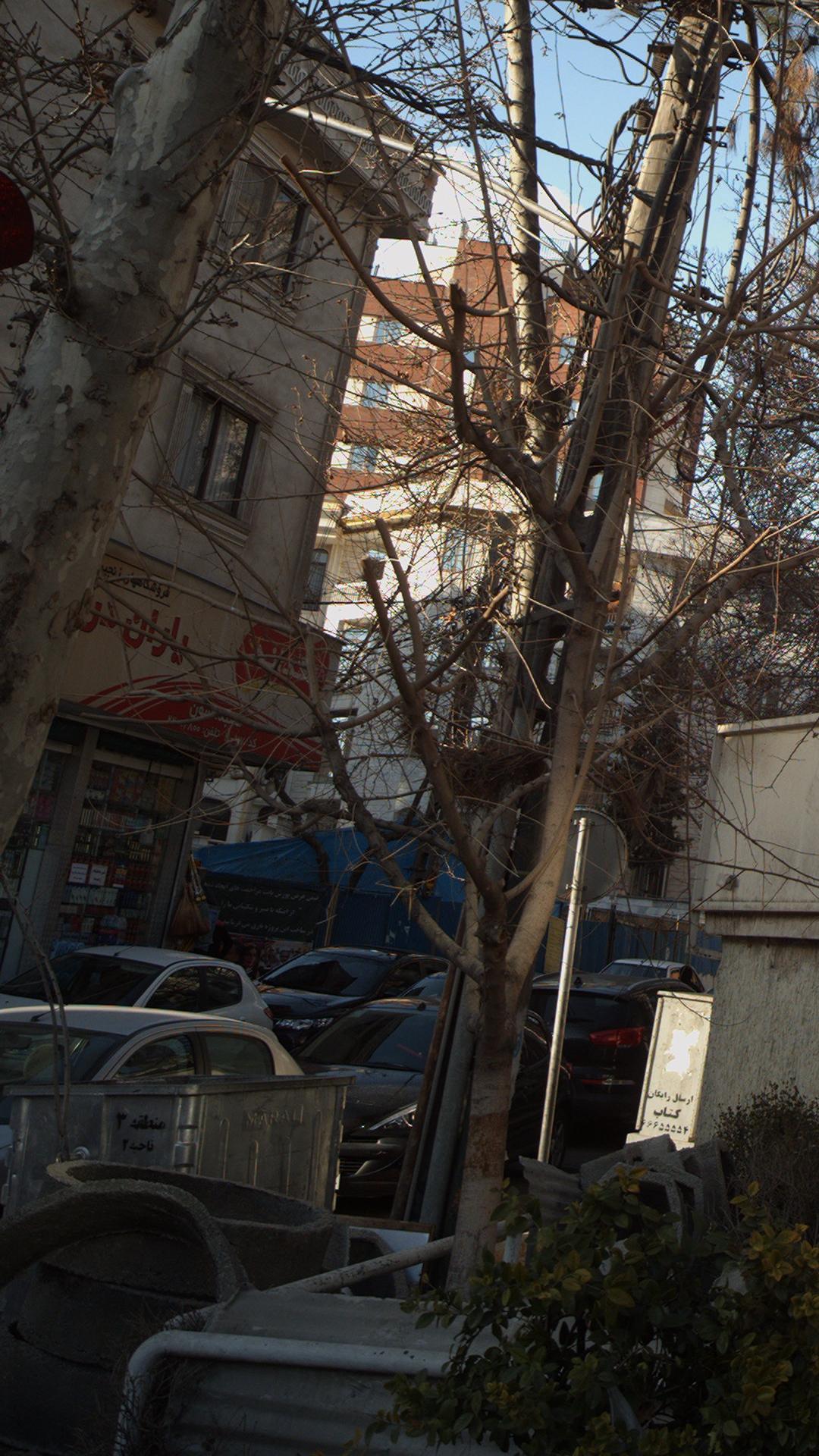 فروشگاه یاران دریان