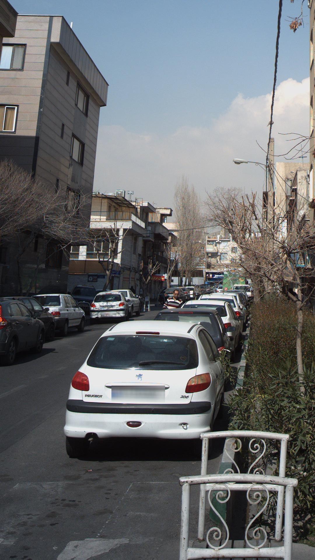 نان بربری