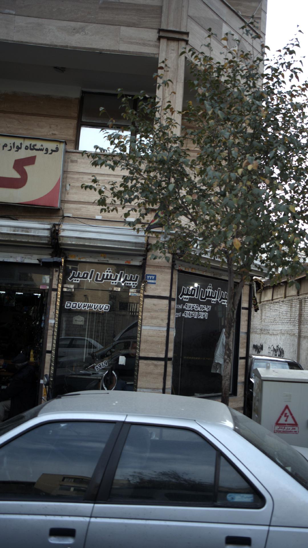پیرایش امیر