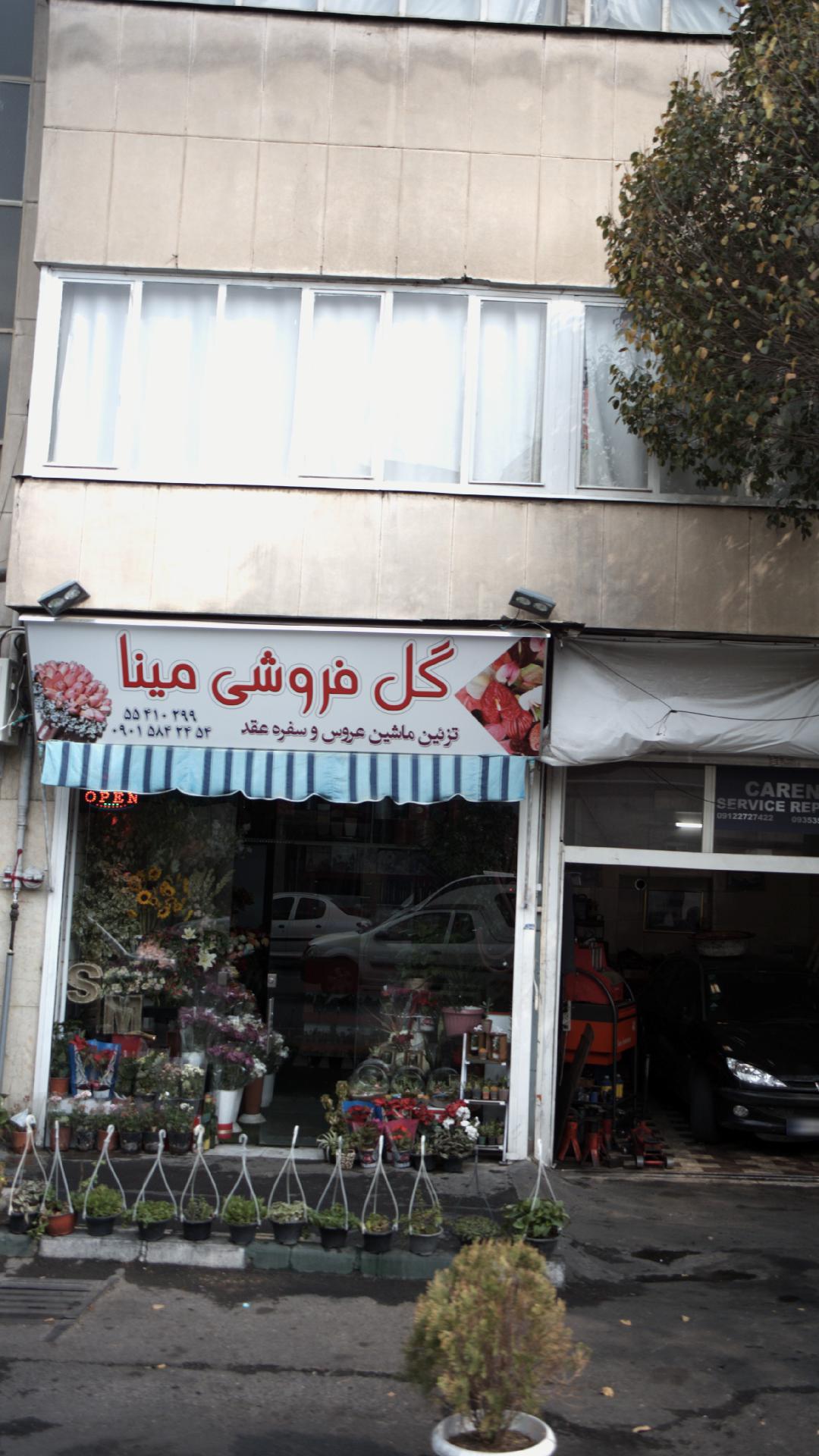 گل فروشی مینا