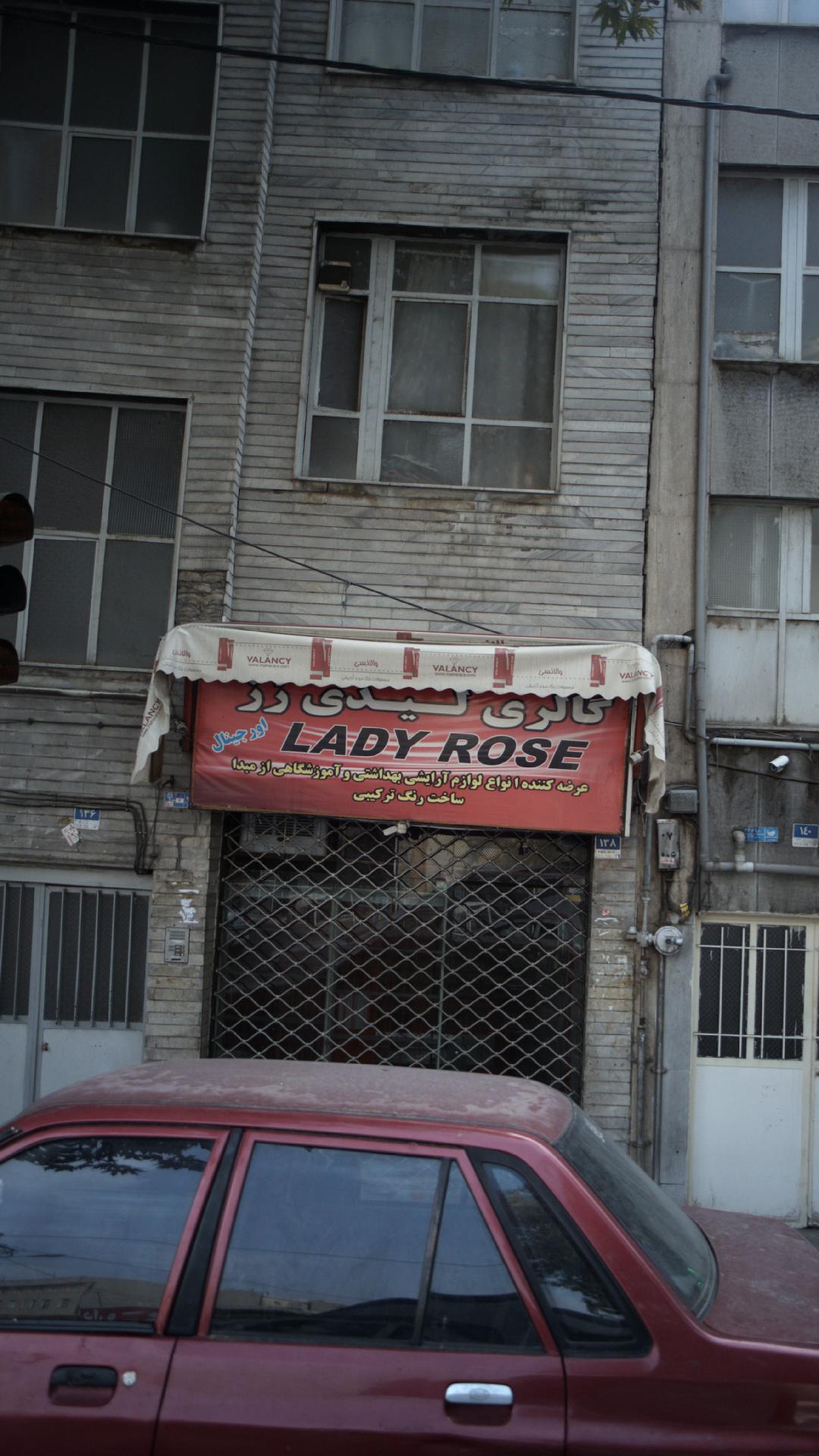 گالری لیدی رز