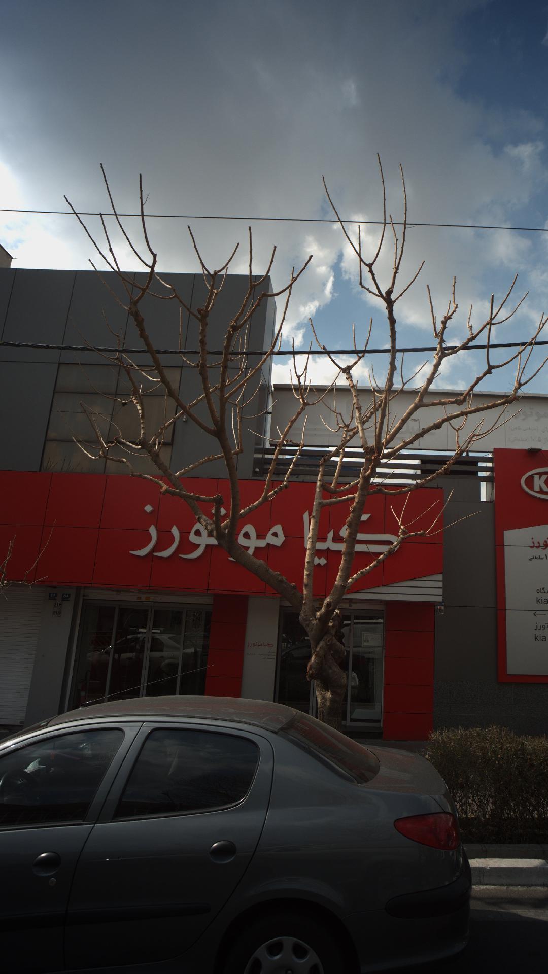 کیا موتورز