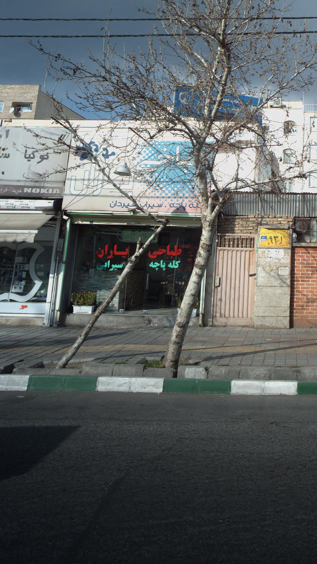 طباخی یاران