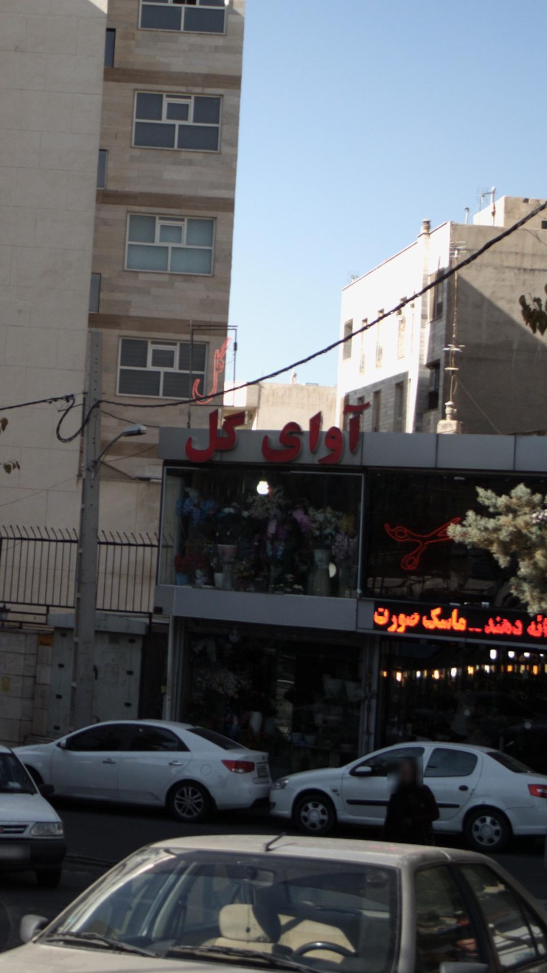 آوای گل