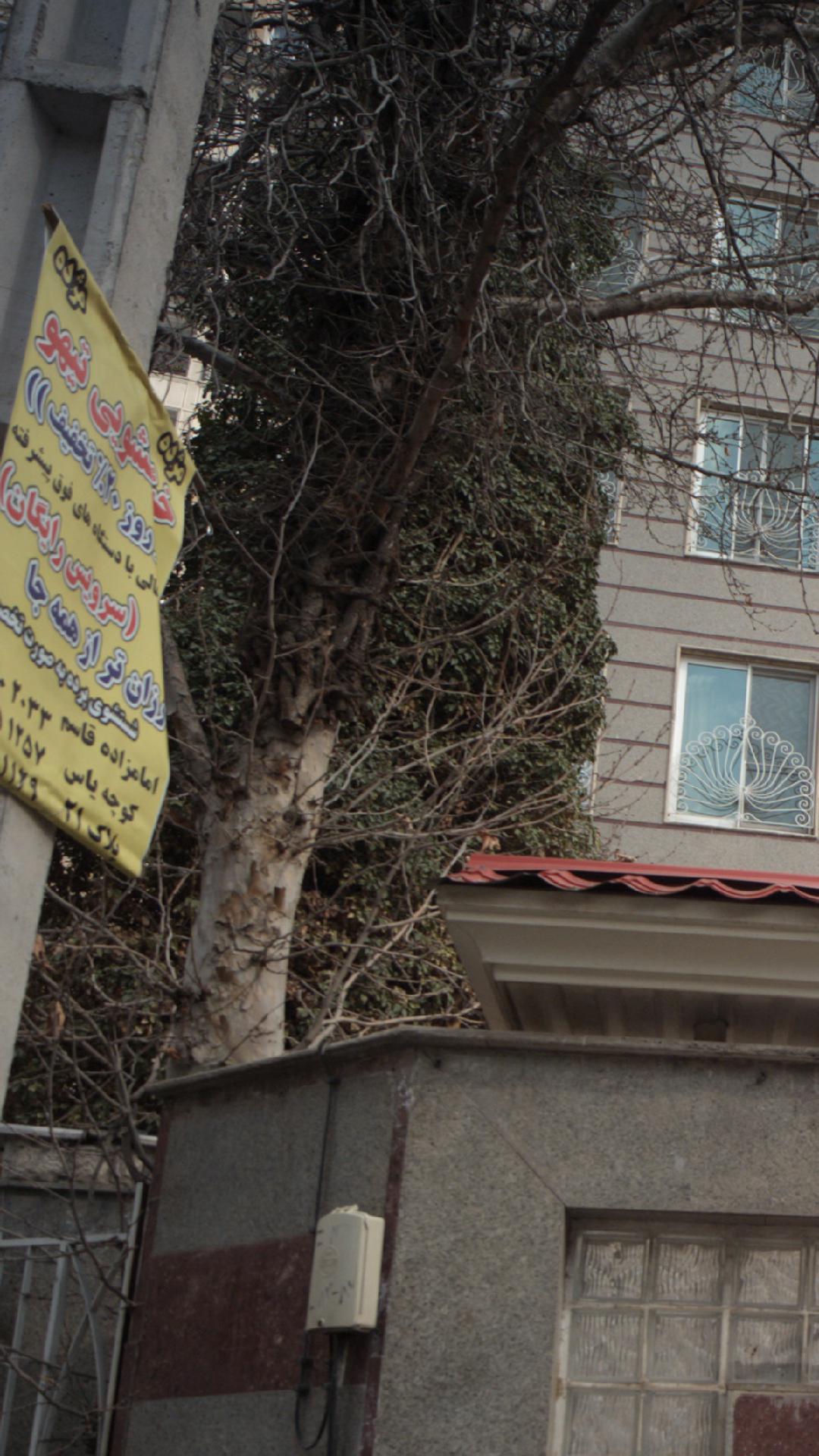 خشکشویی تیهو