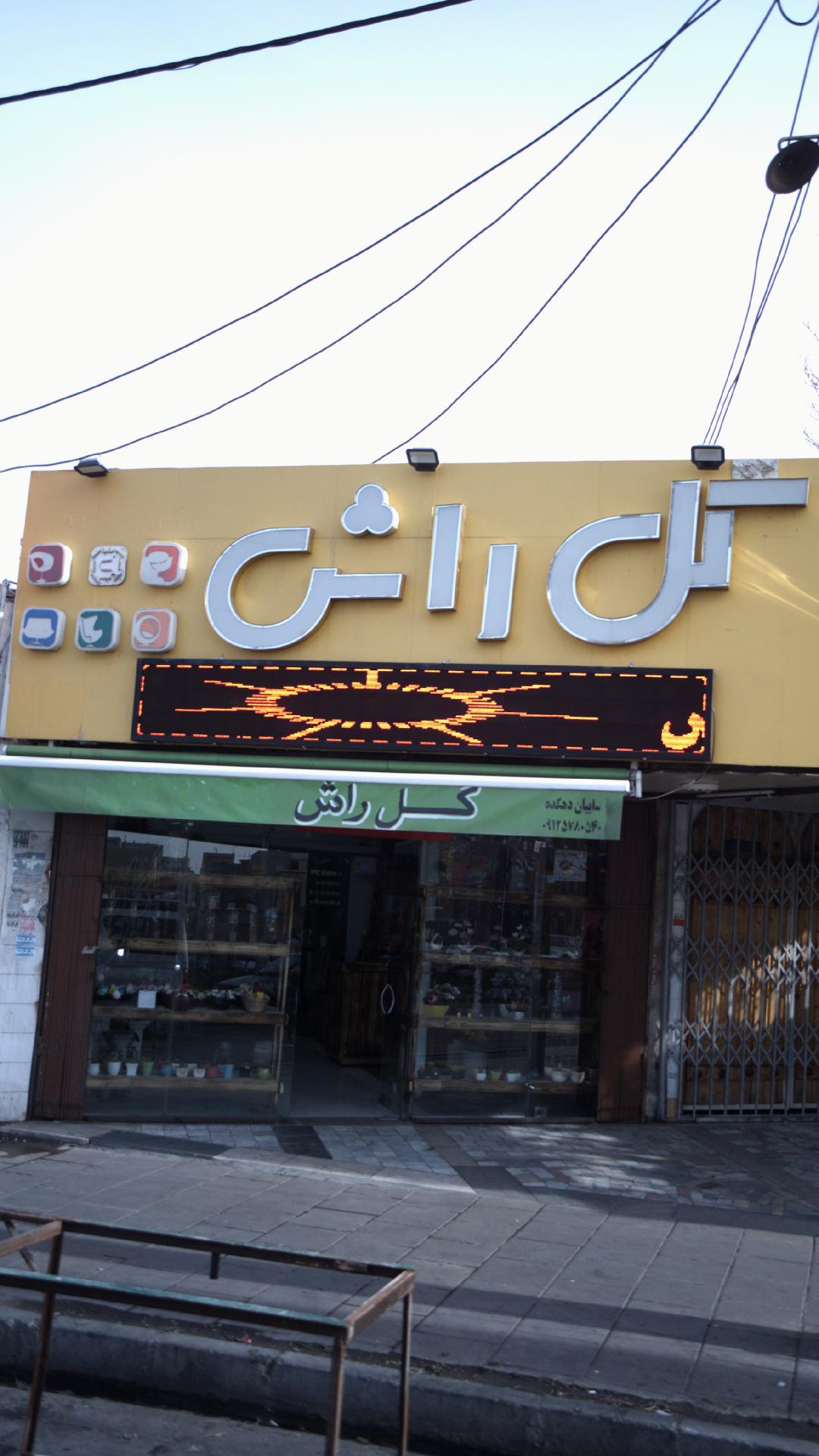 گل راش