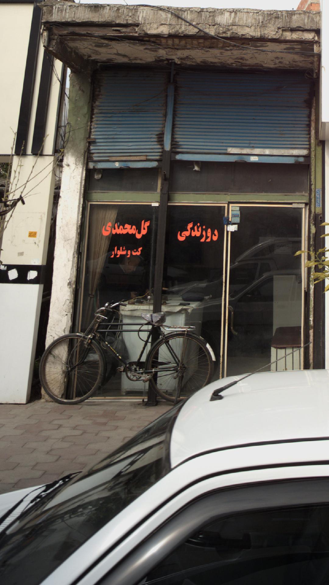 دوزندگی گل محمدی