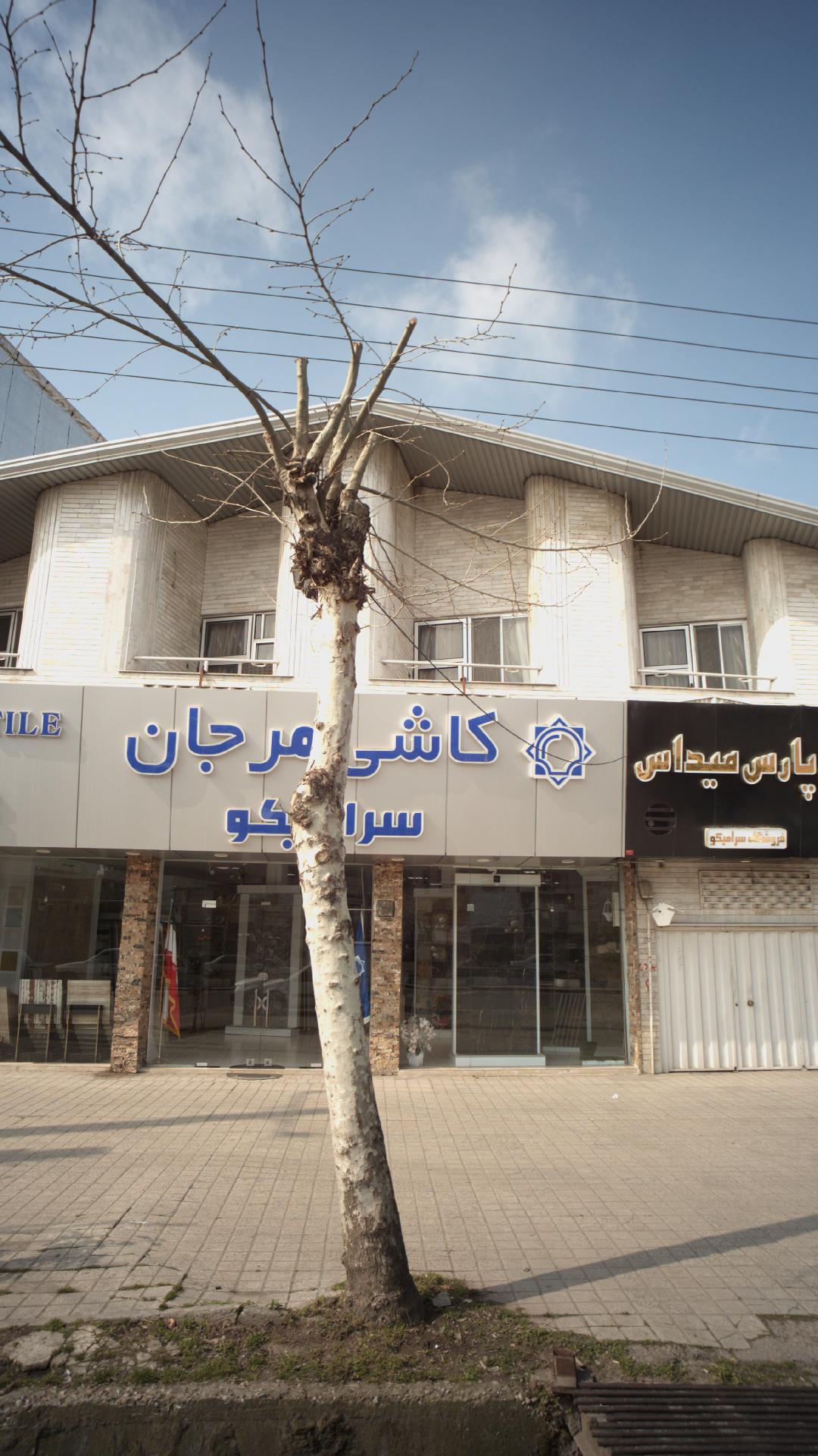 کاشی مرجان