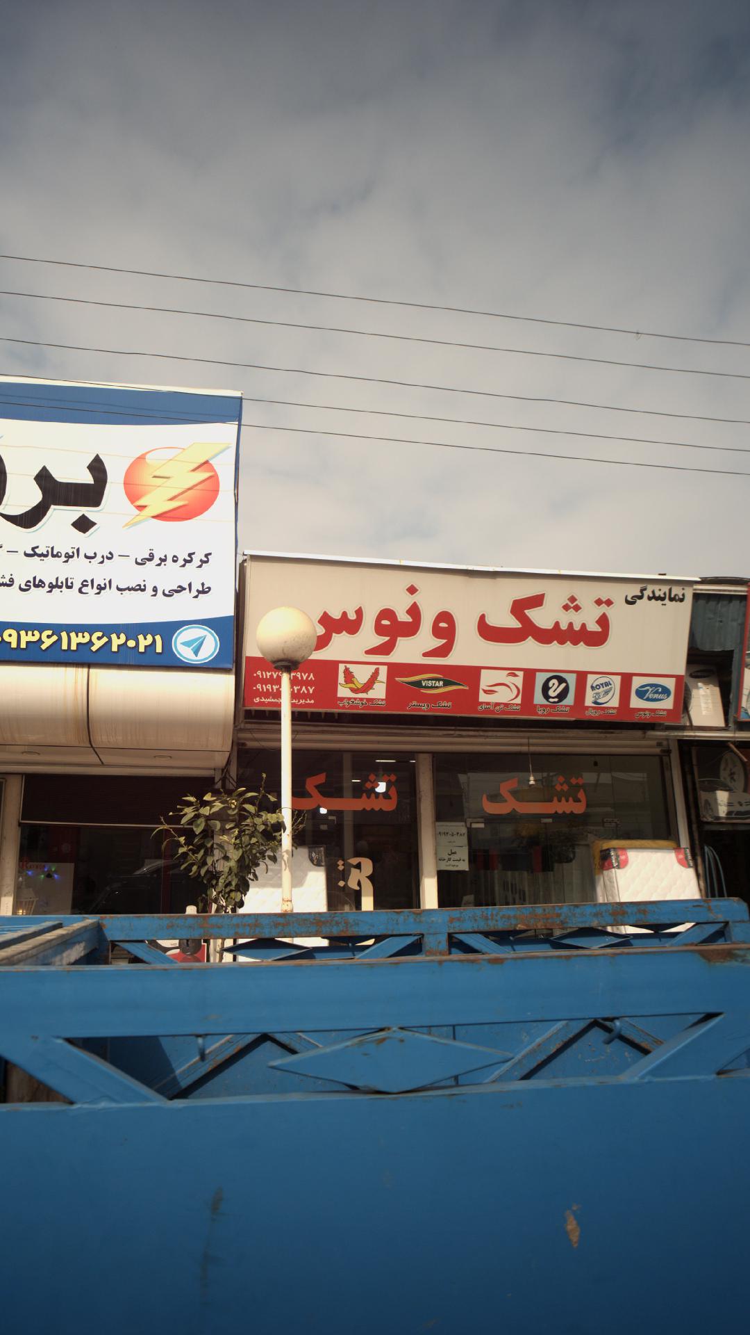 تشک ونوس