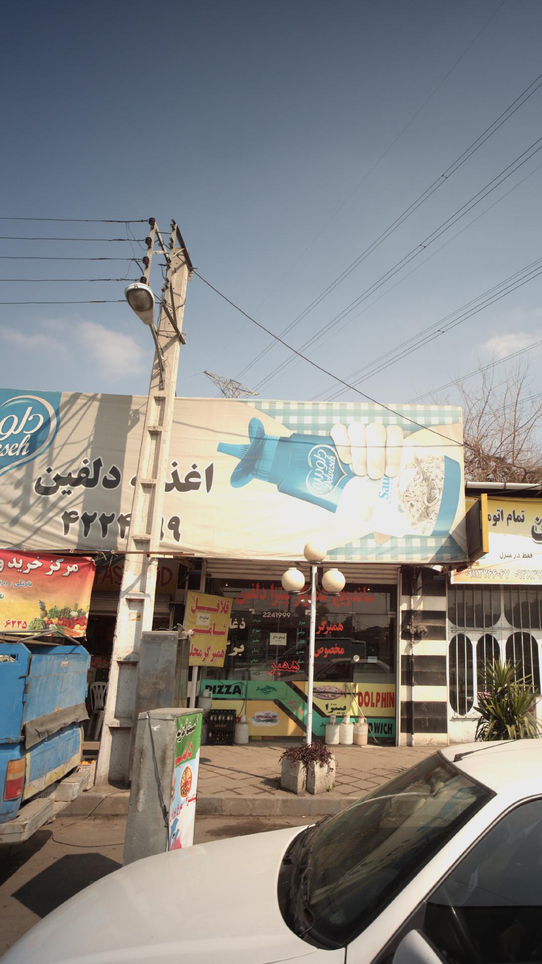 اغذیه دلفین