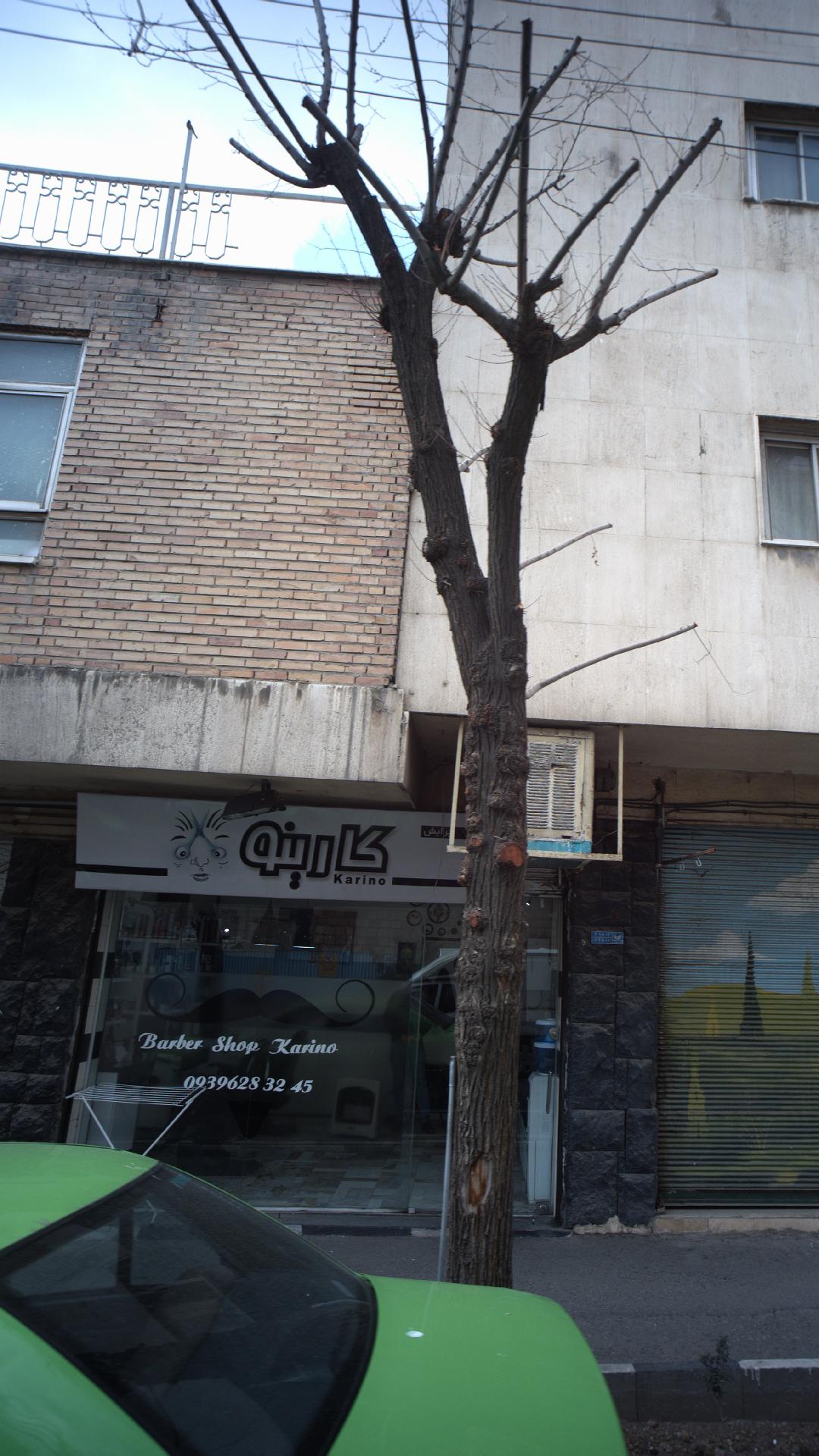 پیرایش کارینو