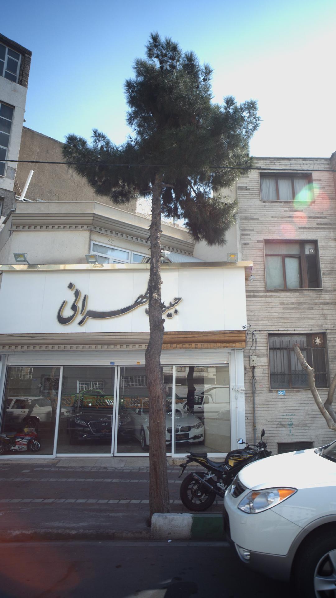جیب طهران