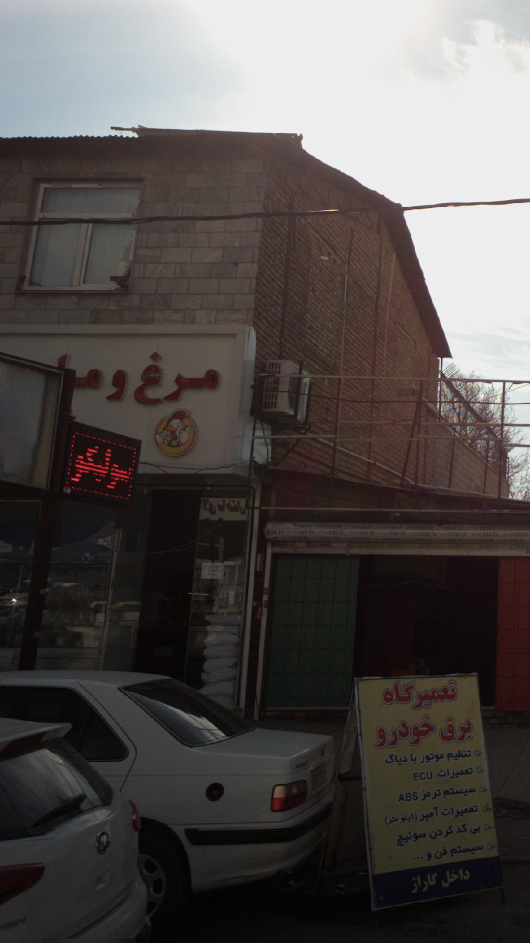 مرغ و ماهی علی