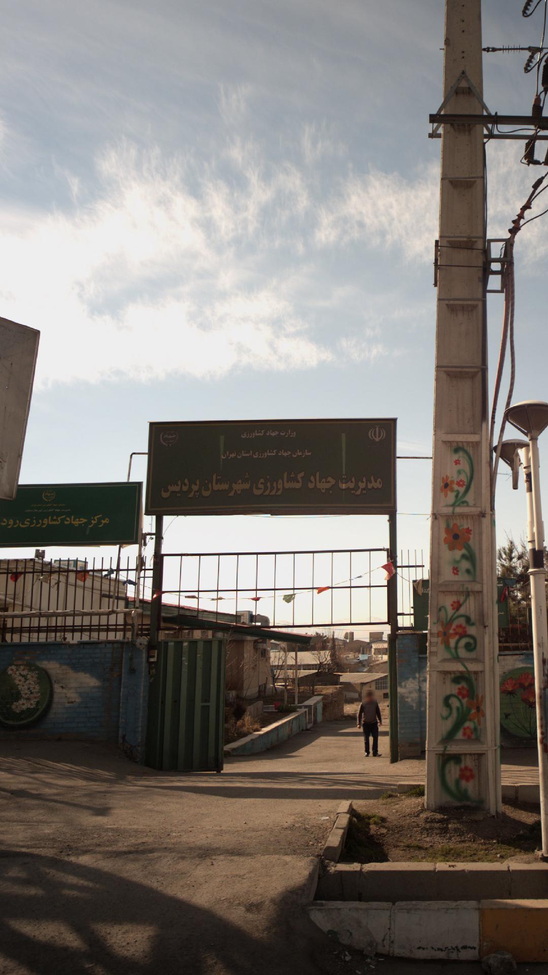 مدیریت جهاد کشاورزی شهرستان پردیس