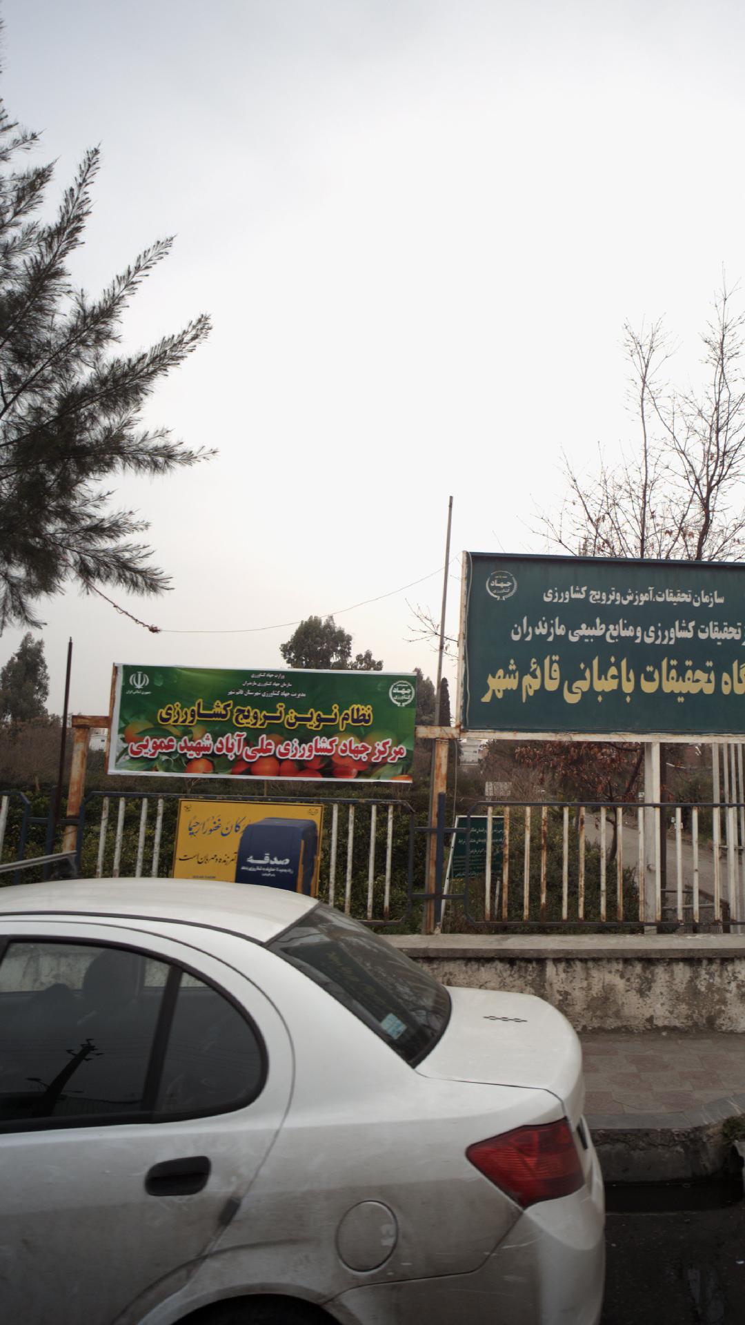 مرکز جهاد کشاورزی علی آباد شهید عمویی