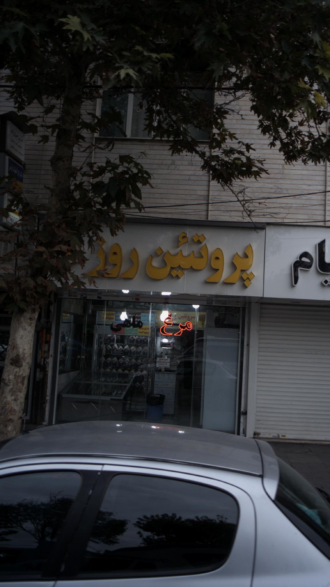 پروتئین روز