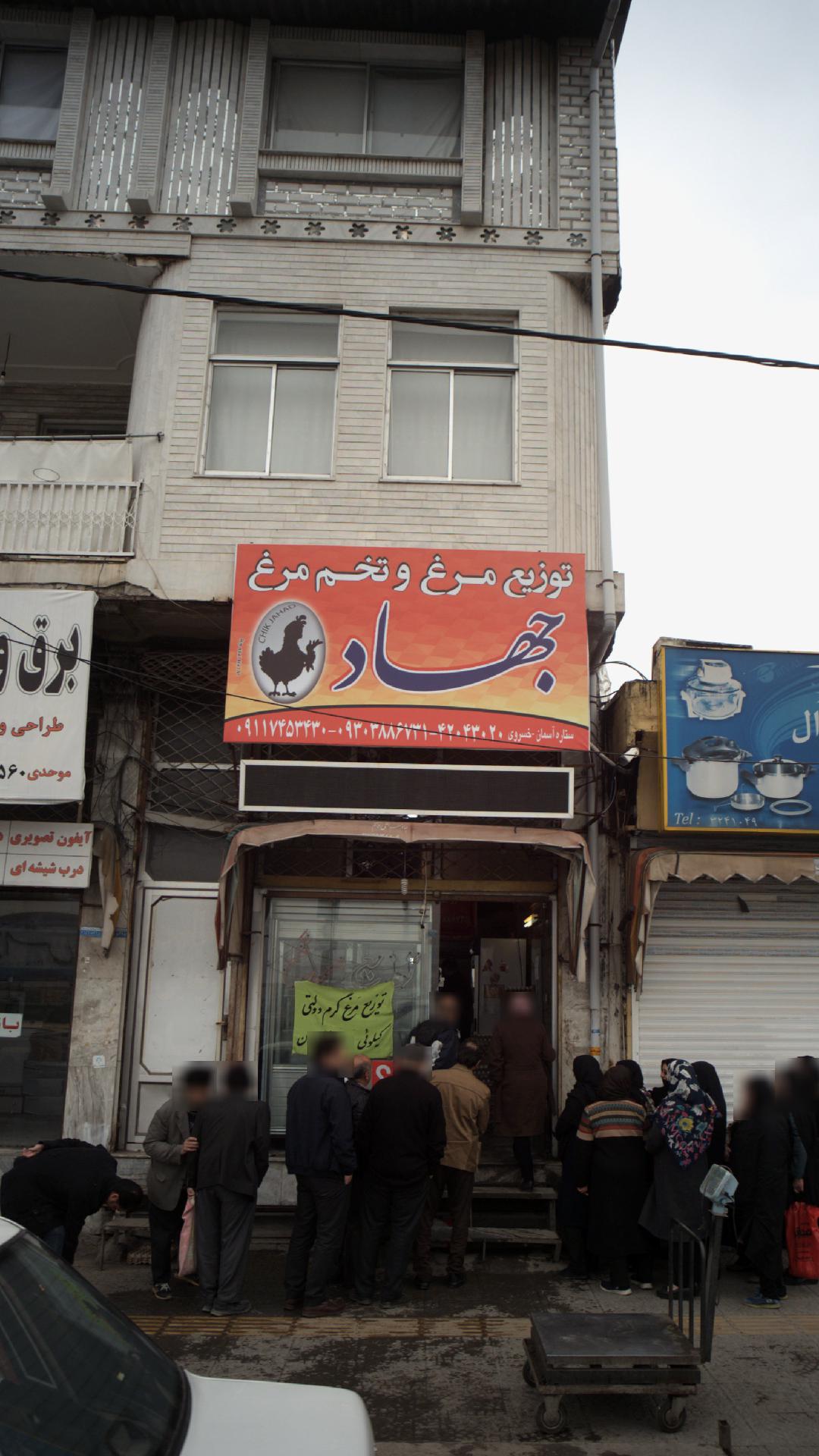 توزیع مرغ وتخم مرغ جهاد