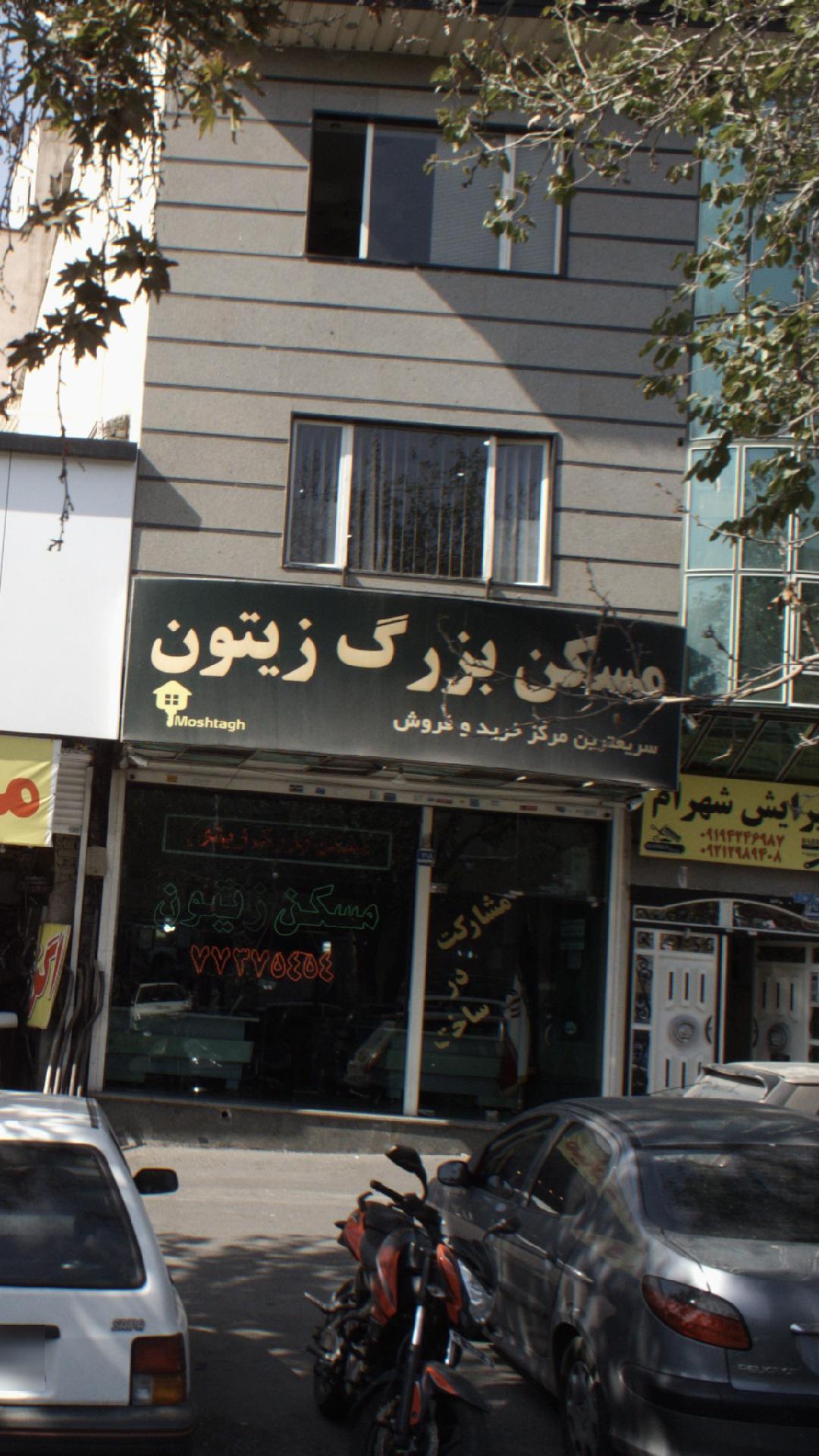 مسکن بزرگ زیتون