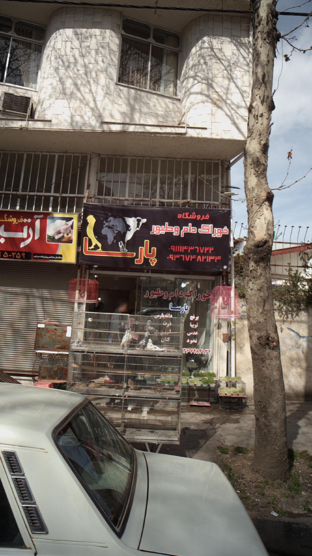 خوراک دام و طیور