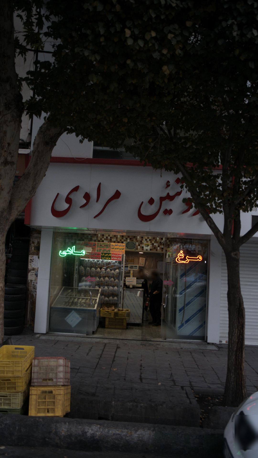 پروتئین مرادی