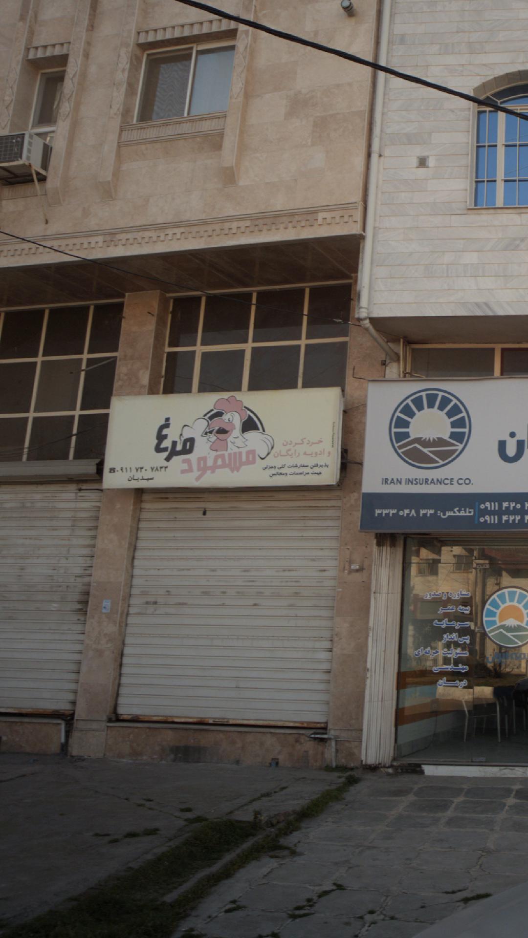 مرغ فروشی مسعود