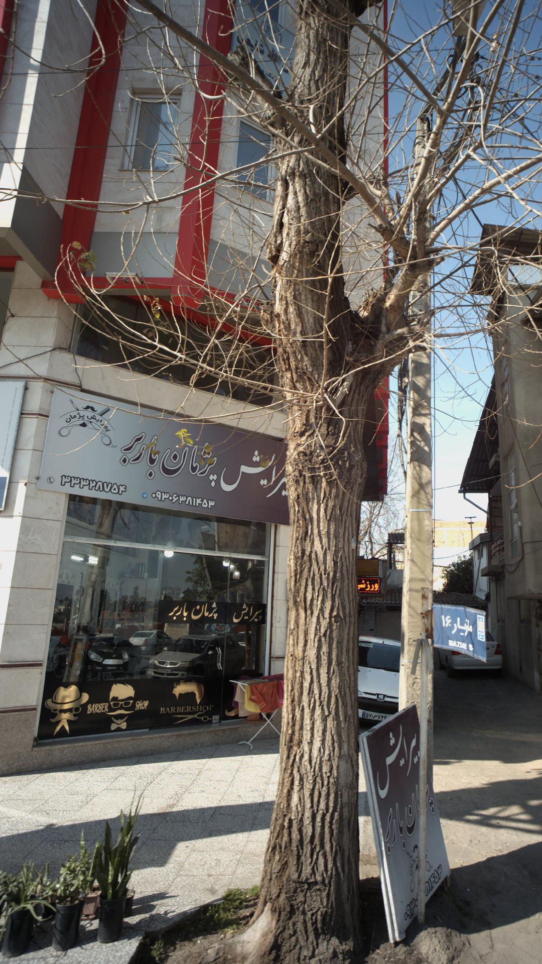 پیرایش پژمان باربر