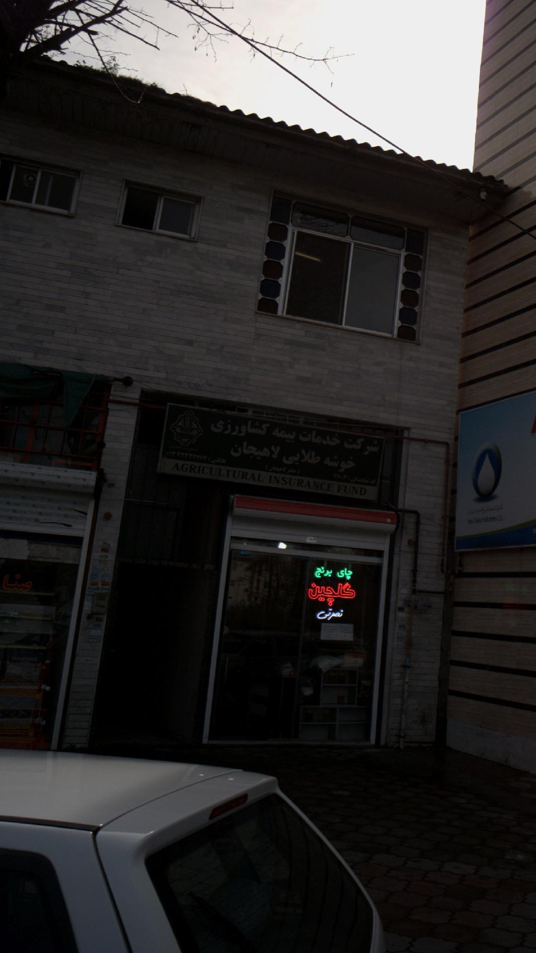شرکت خدمات بیمه کشاورزی خوشه طلایی لاهیجان