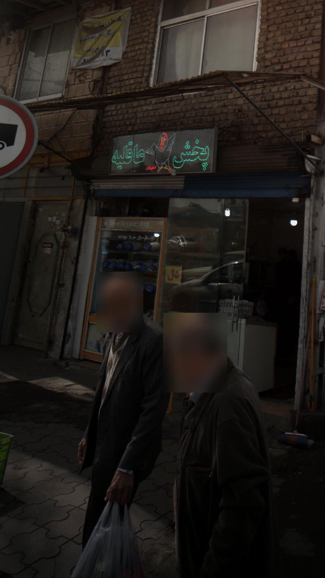 پخش مرغ عاقلیه
