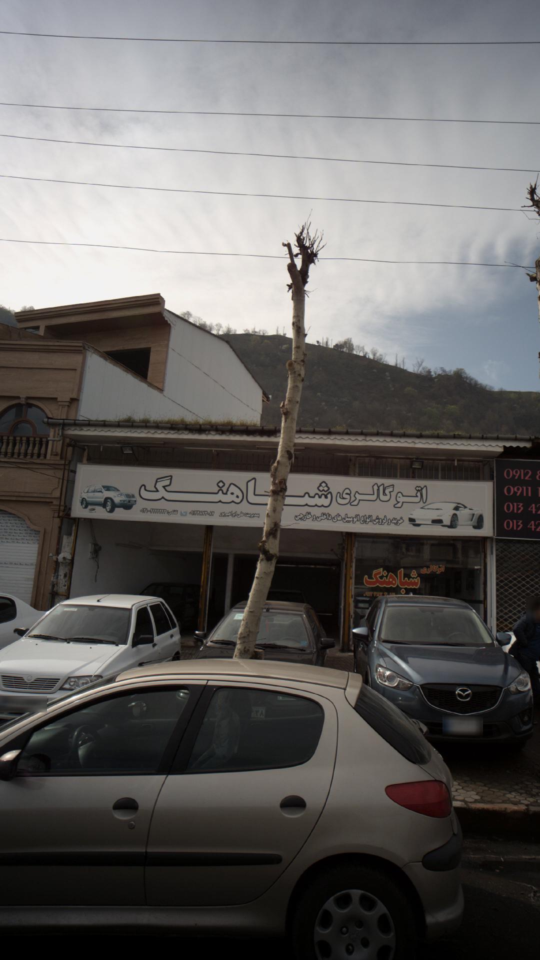 اتوگالری شباهنگ