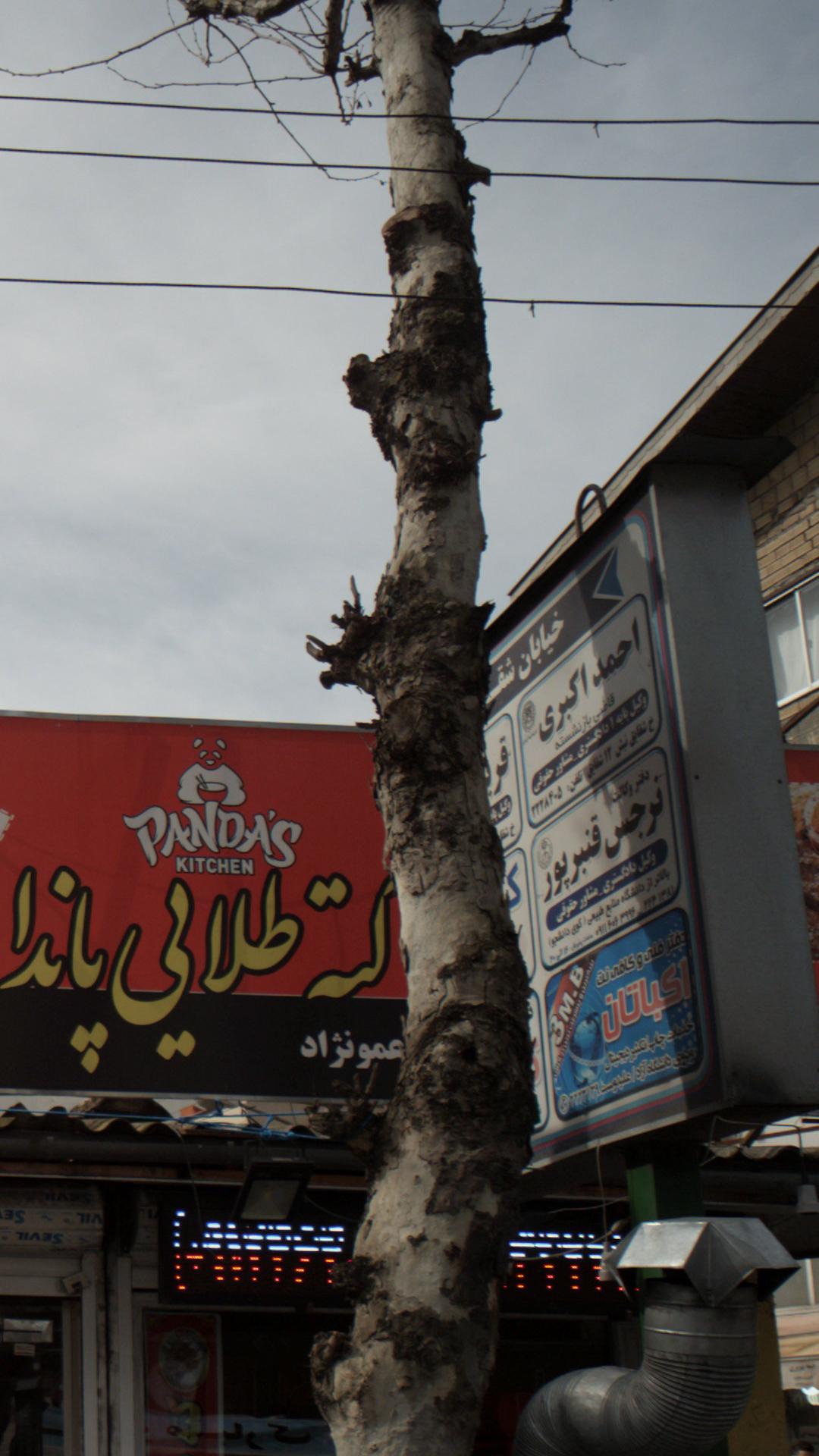 احمد اکبری
