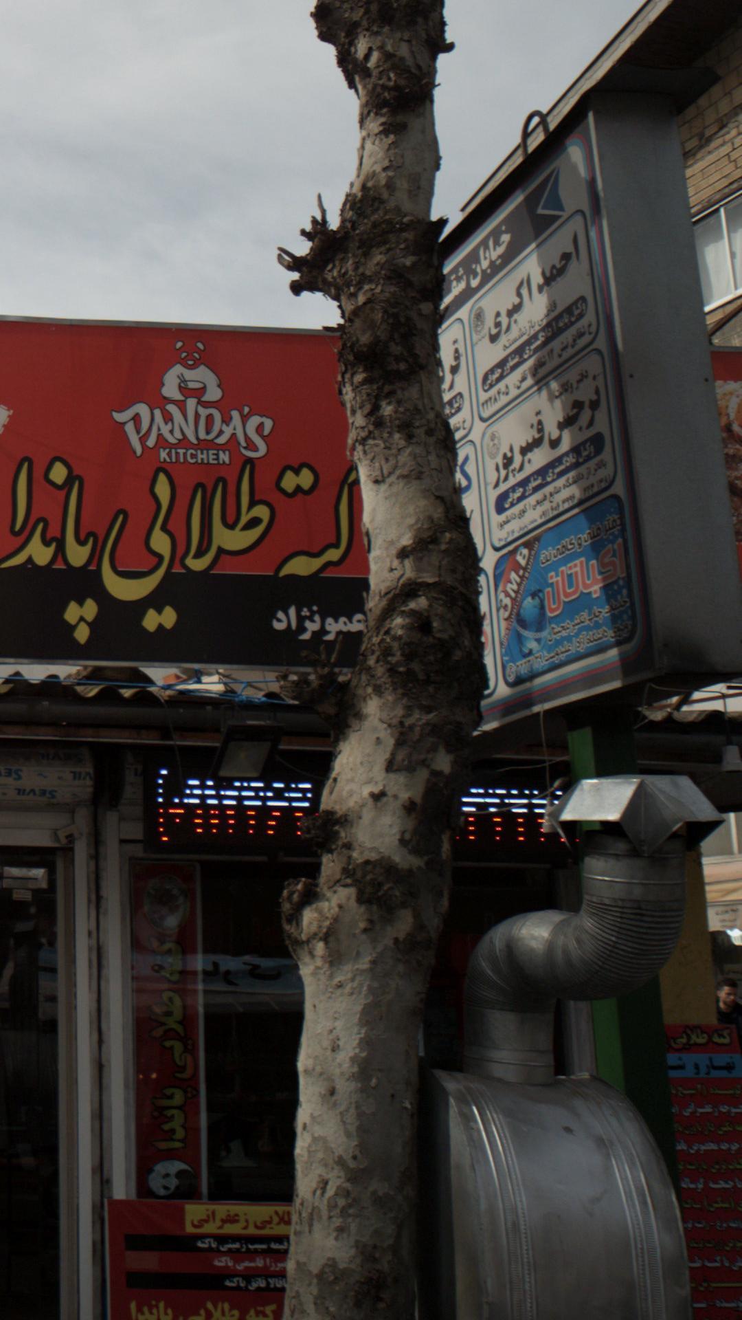دفتر فنی و کافی نت اکباتان
