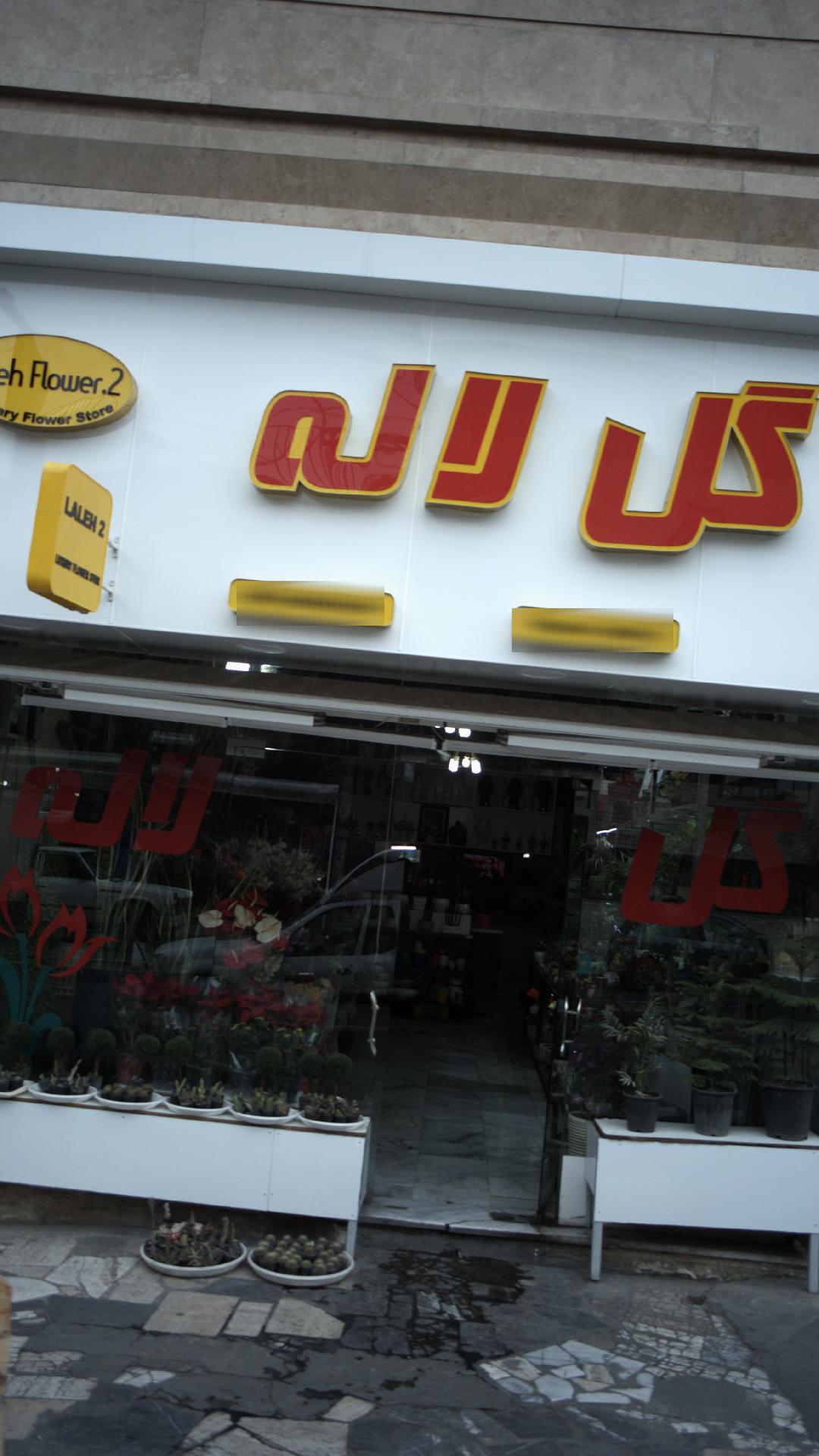 گل لاله