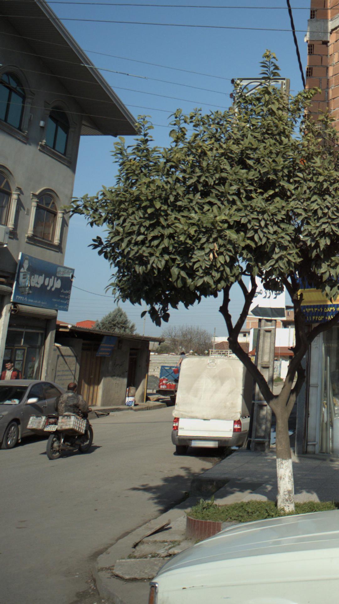هزاره نوین