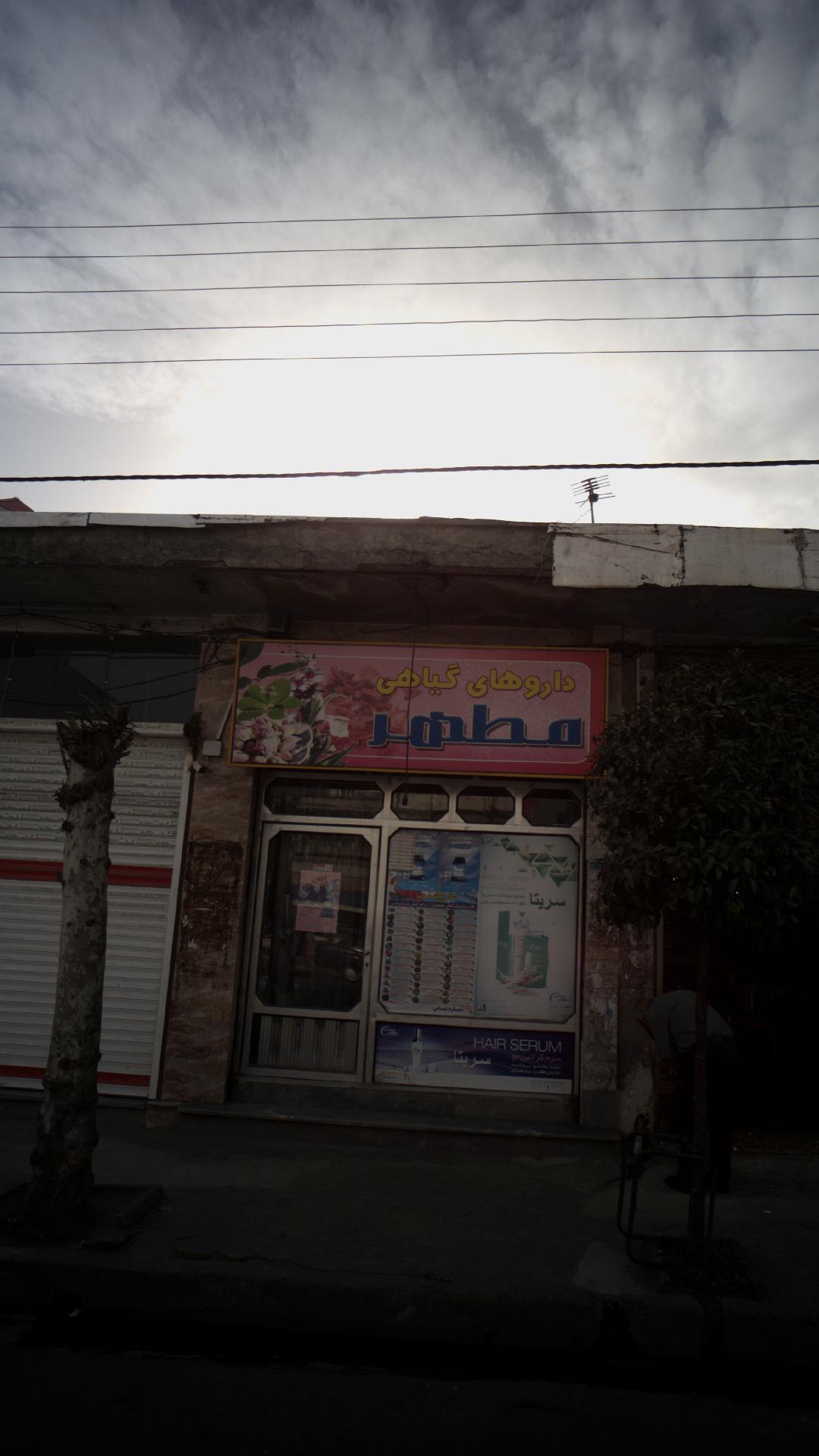 داروهای گیاهی مطهر