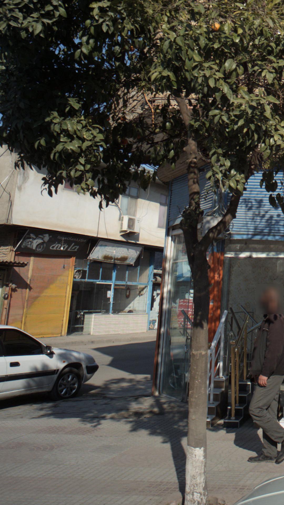 حامی