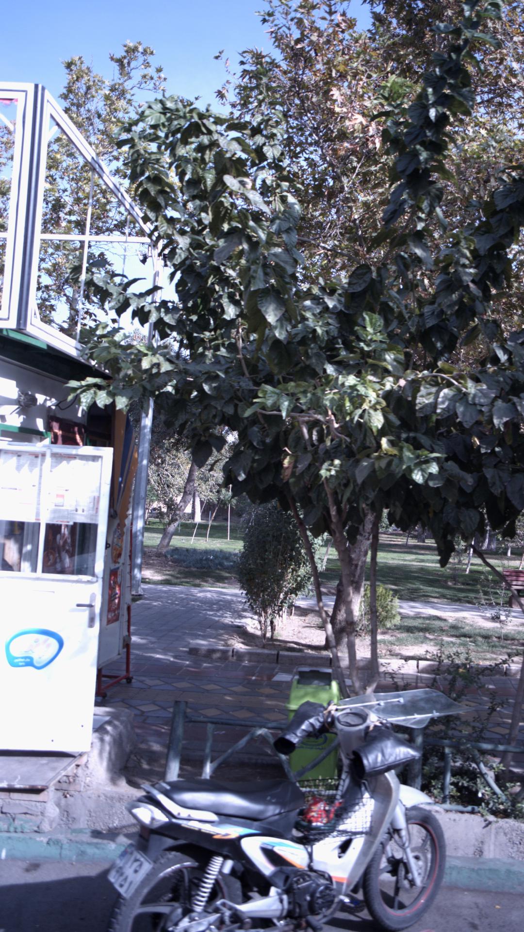 دکه