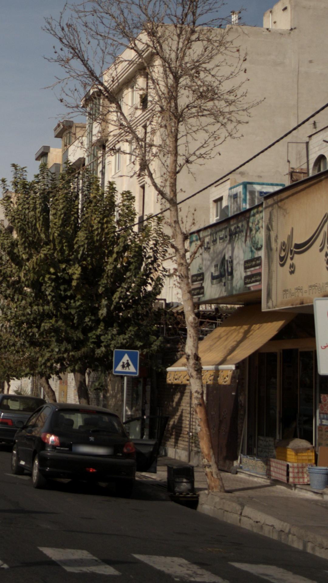 محصولات غذایی ثابت