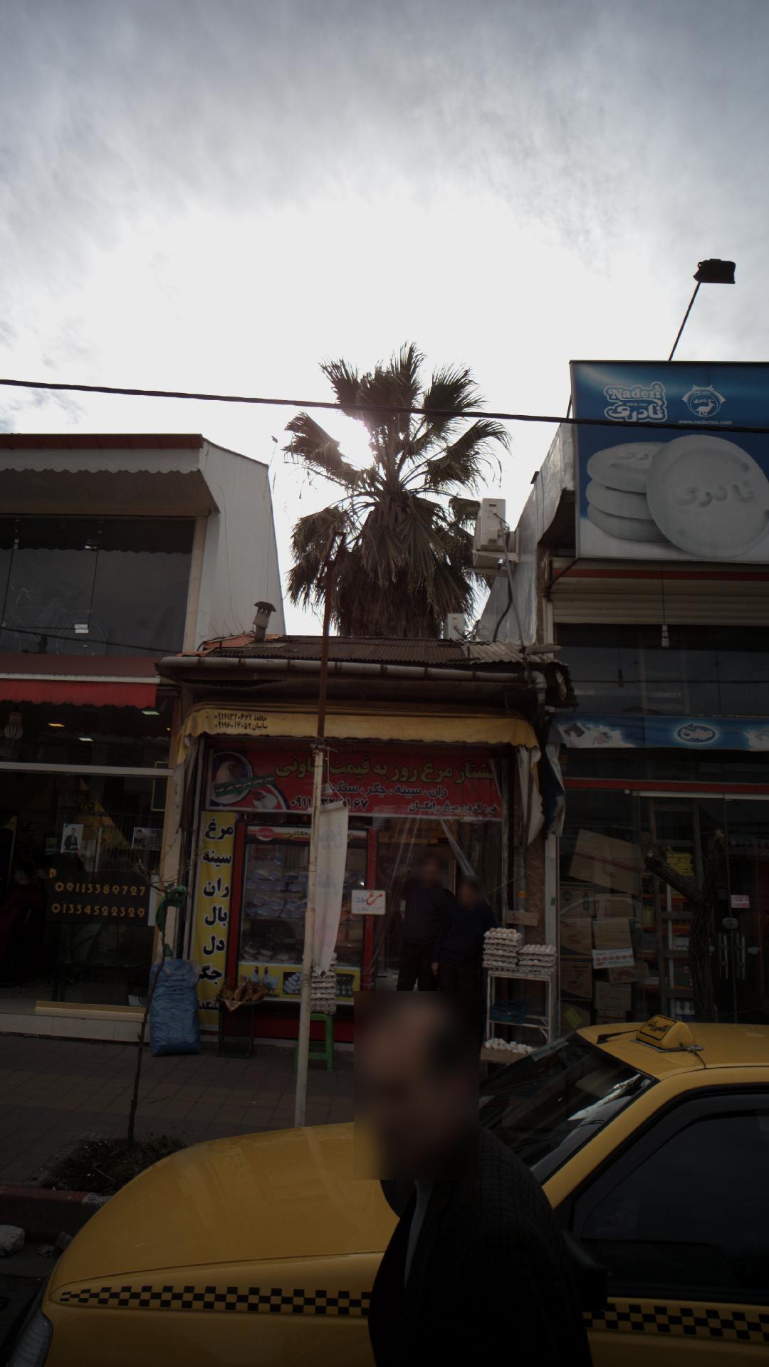 مرغ فروشی