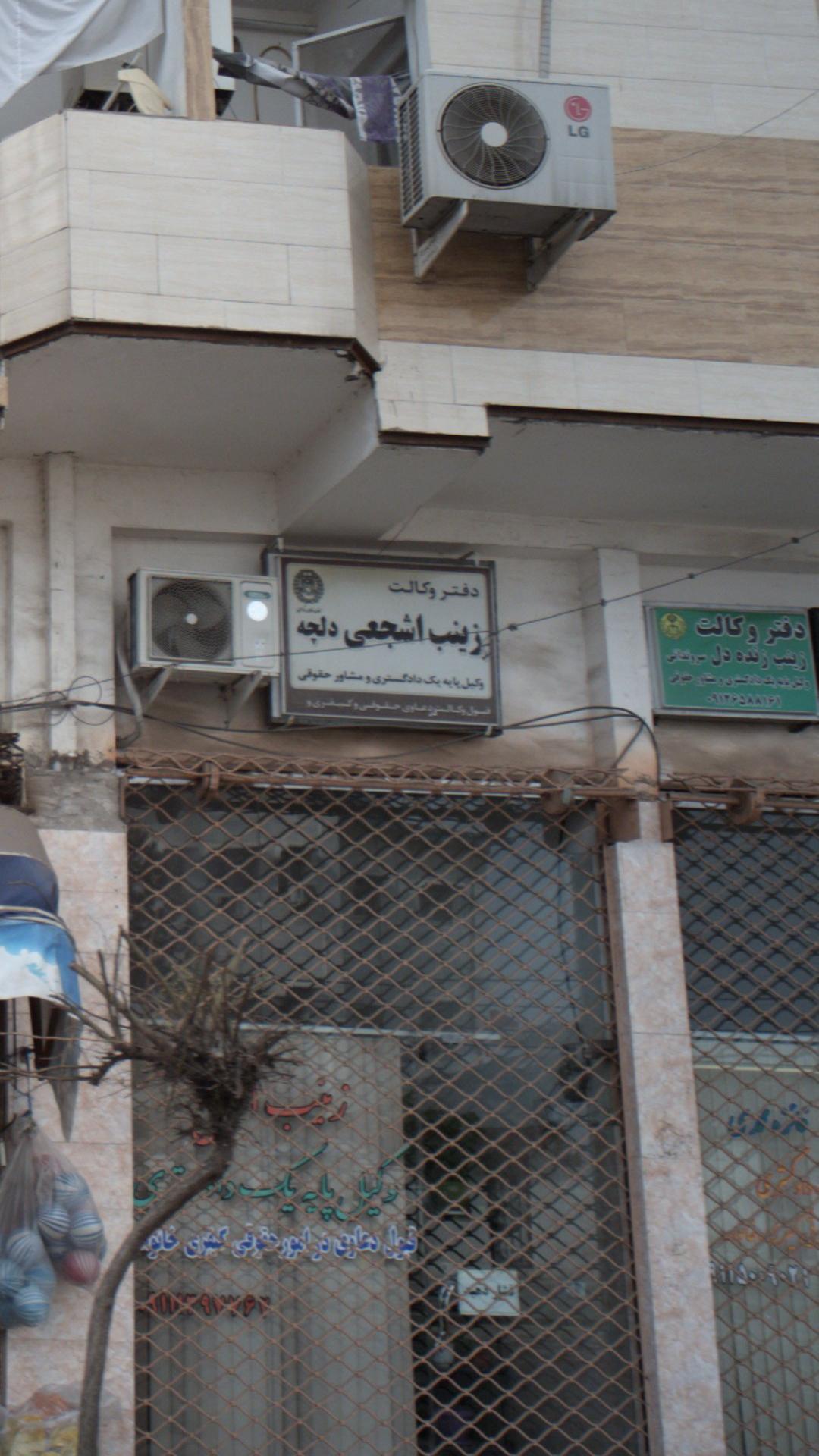 زینب زنده دل