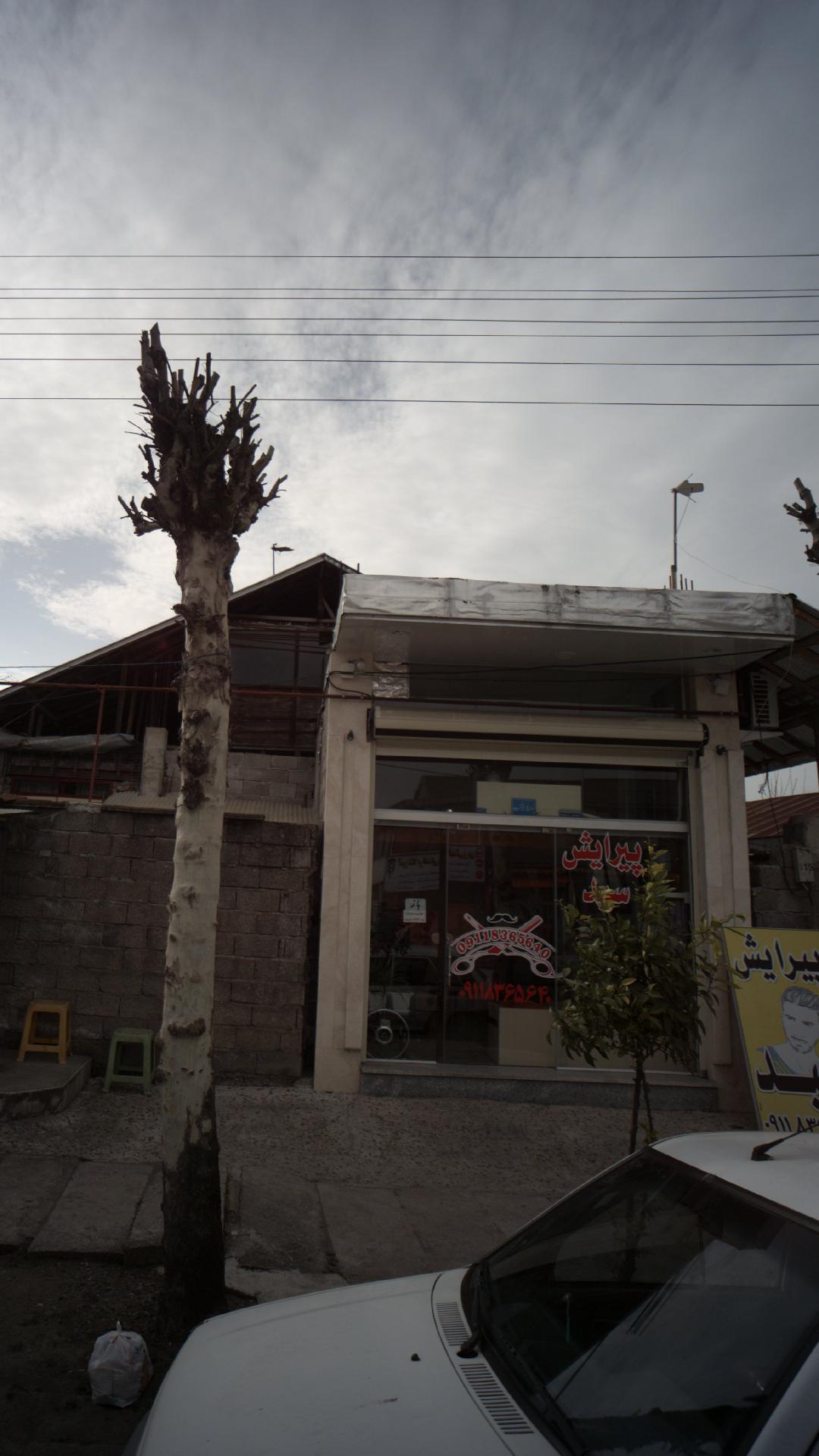پیرایش سید