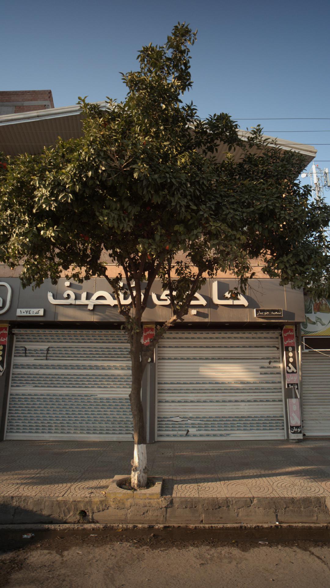 حاجی منصف