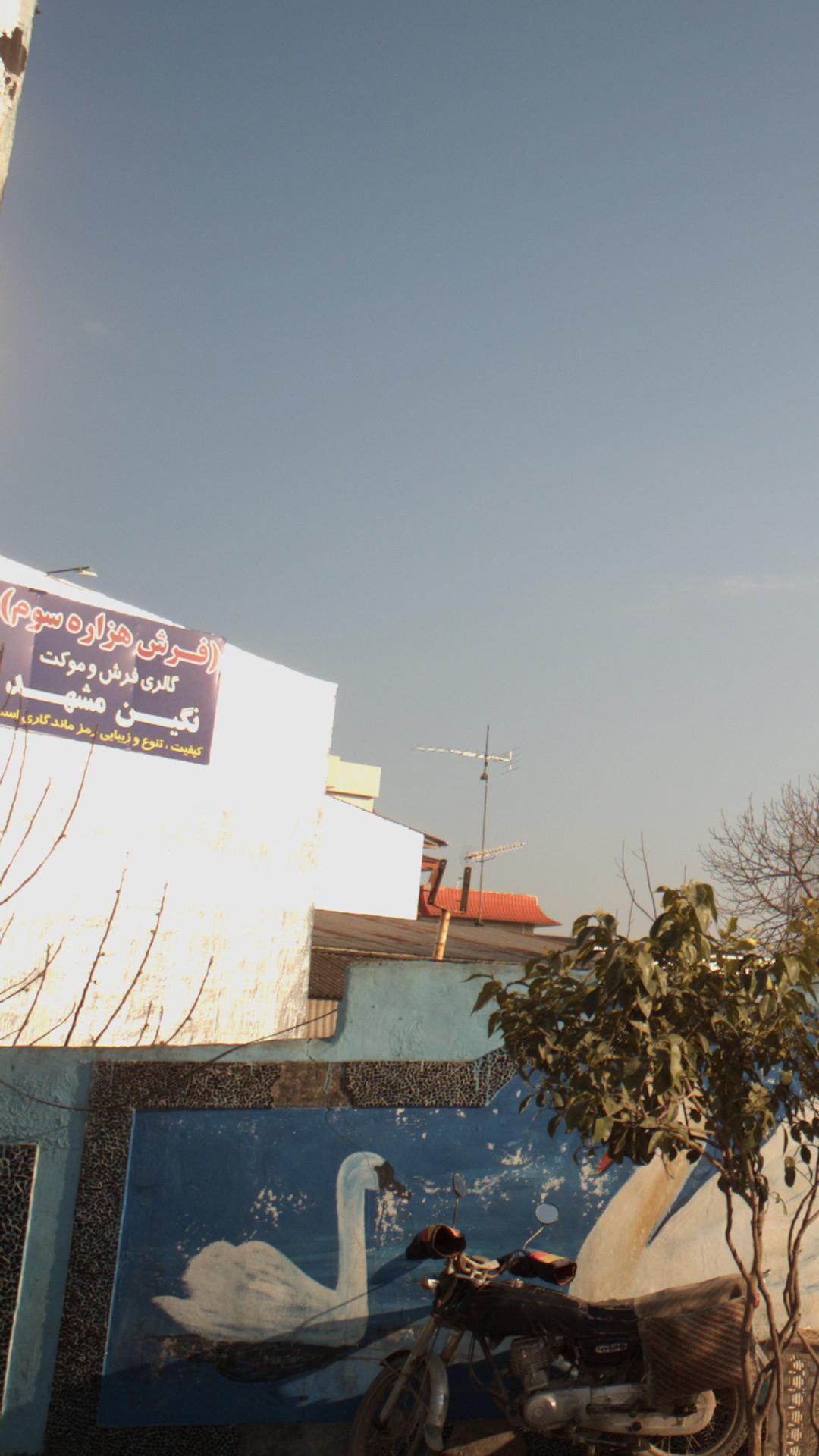 گالری فرش و موکت نگین مشهد