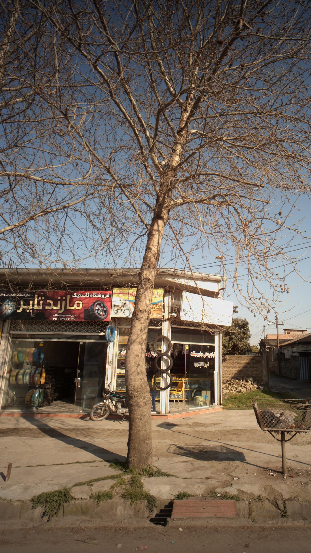فروشگاه لاستیک مازند تایر