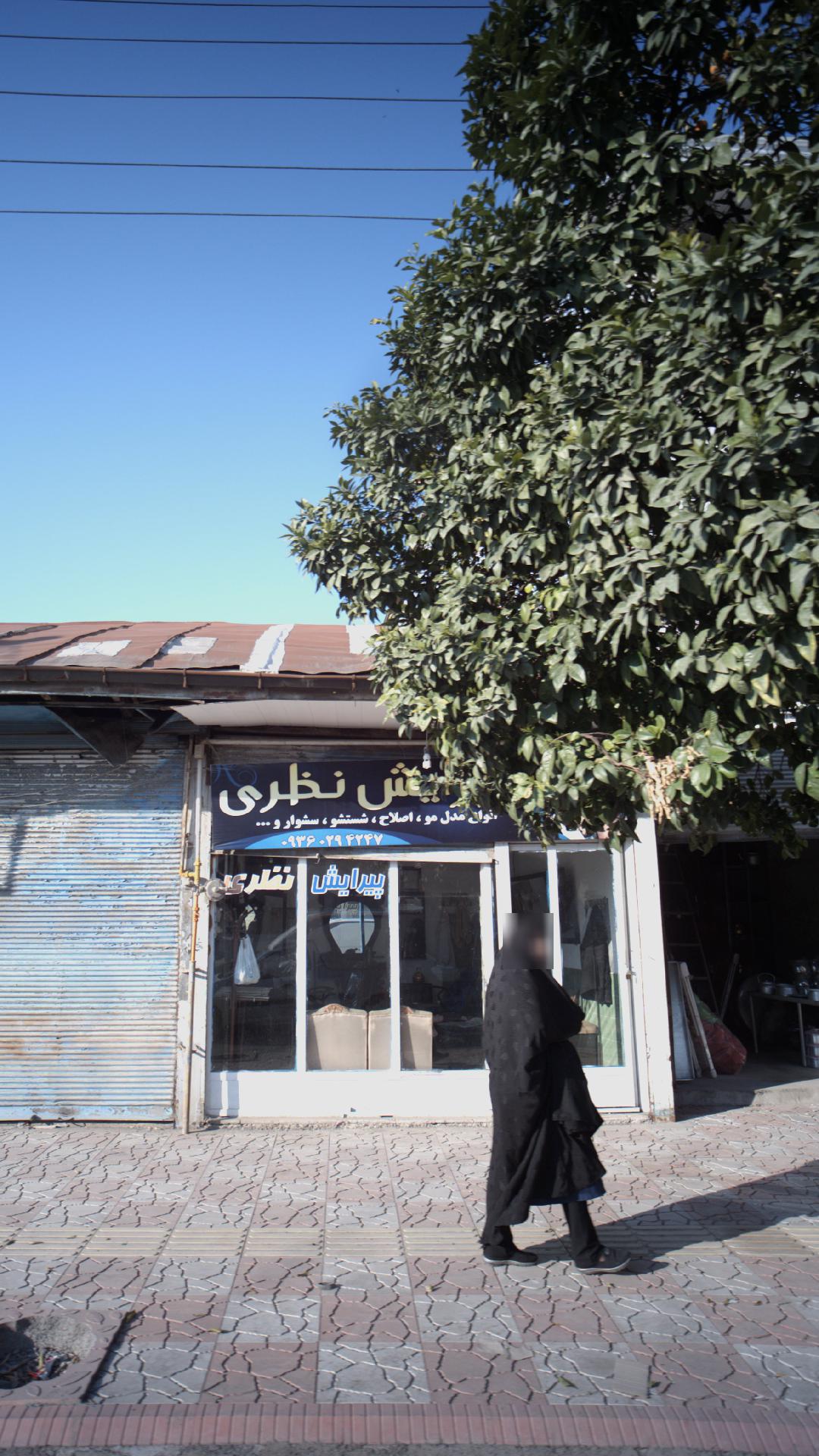 پیرایش نظری