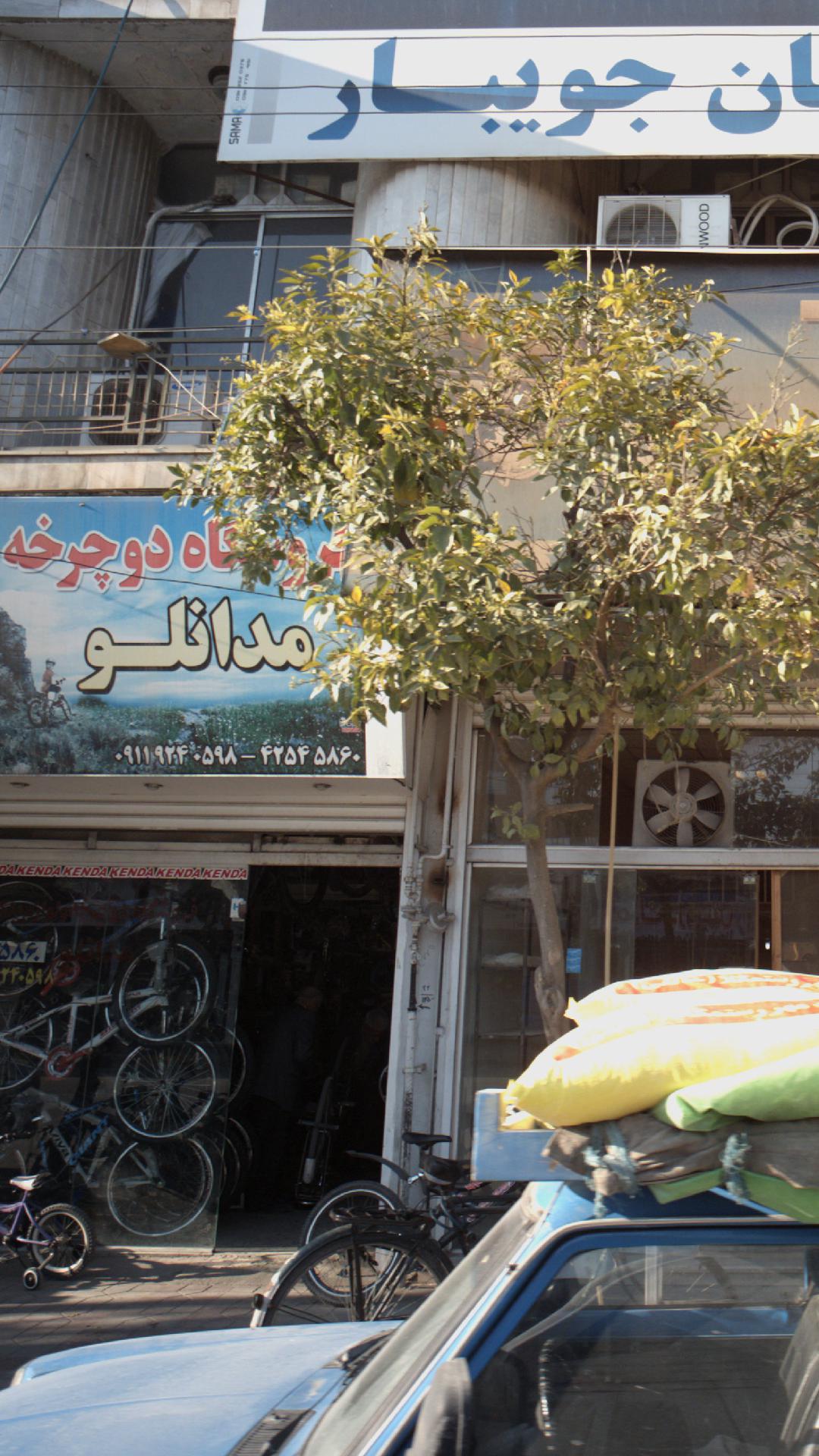 فروشگاه دوچرخه مدانلو