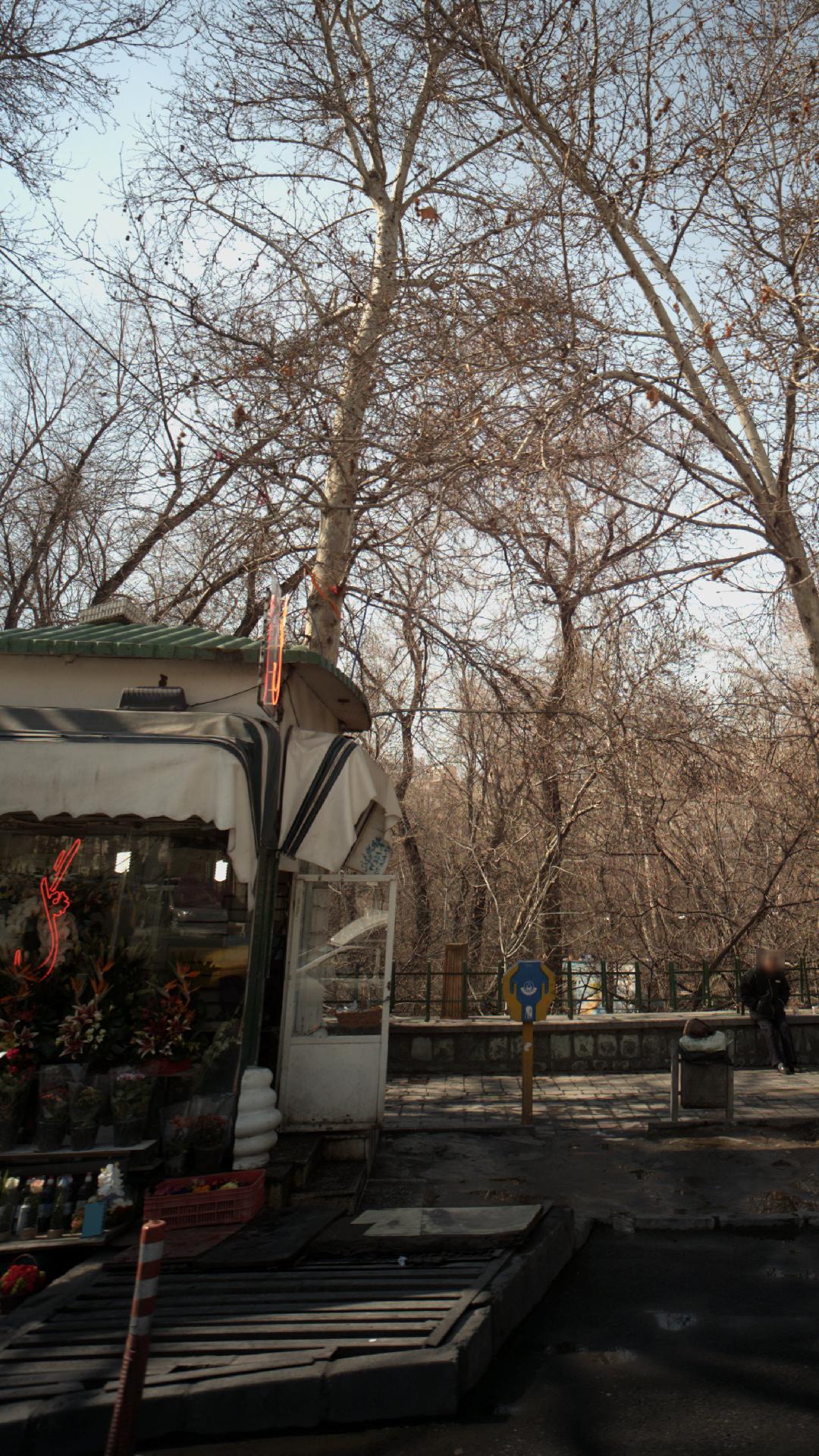 گلفروشی قیطریه