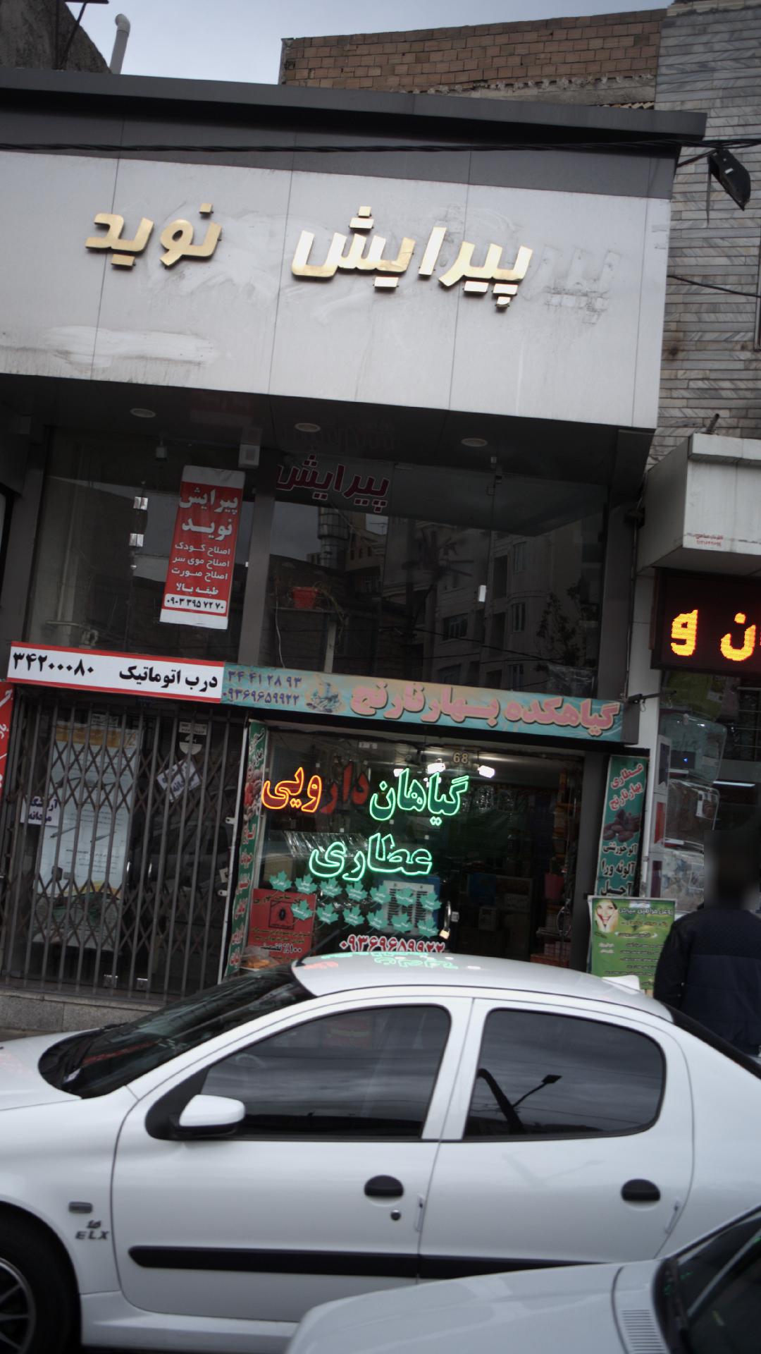گیاهکده بهار نارنج