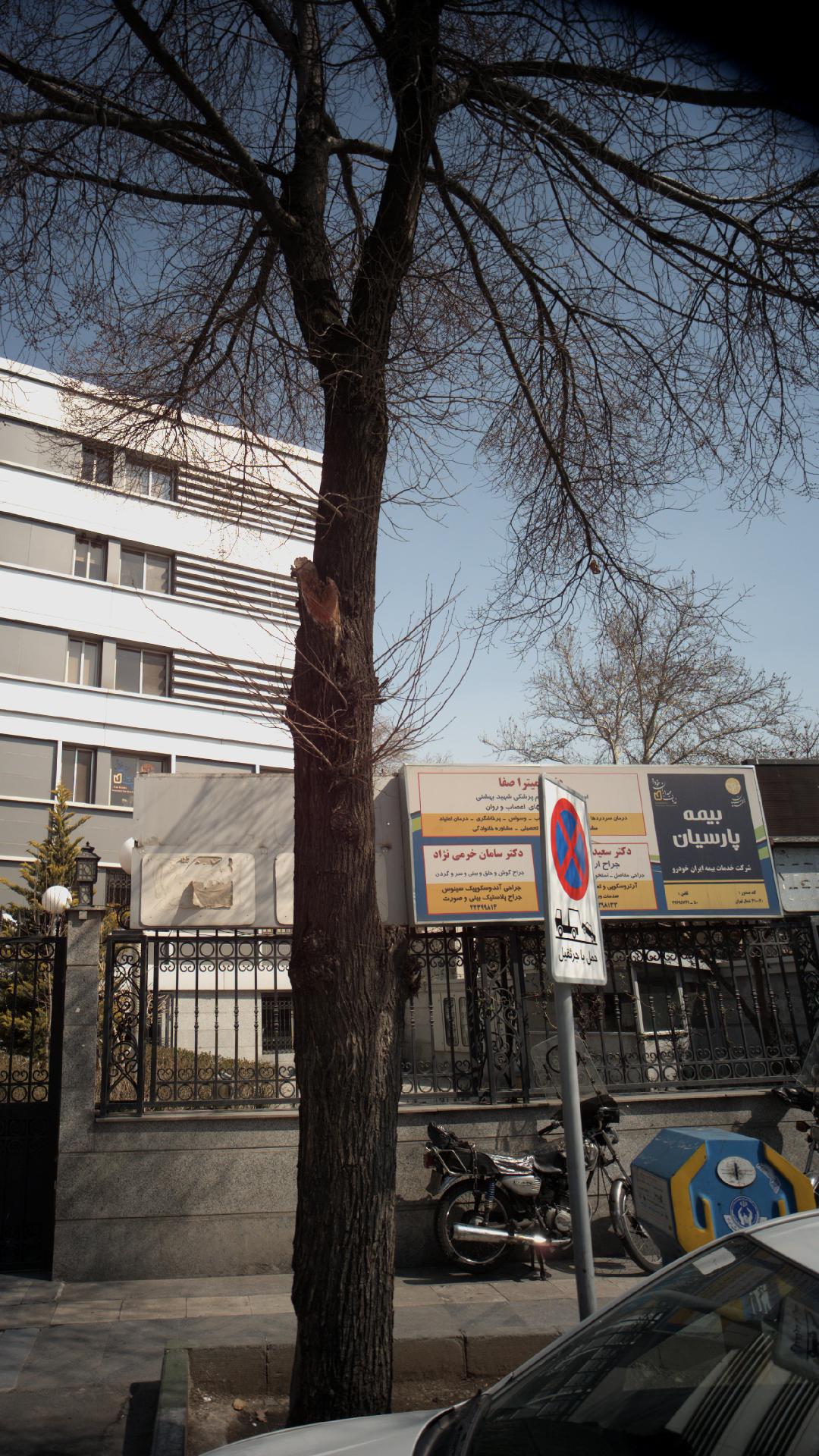 دکتر سعید پزشکی