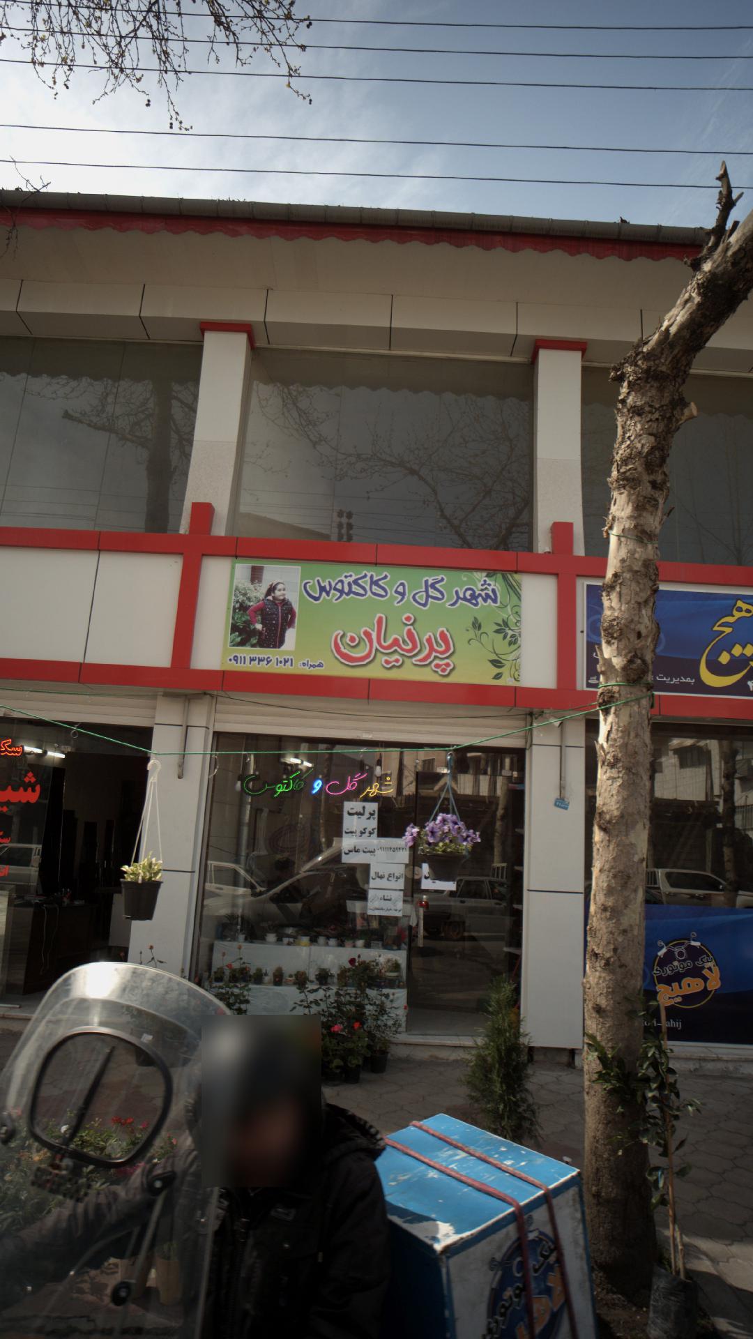 شهر گل و کاکتوس پرنیان
