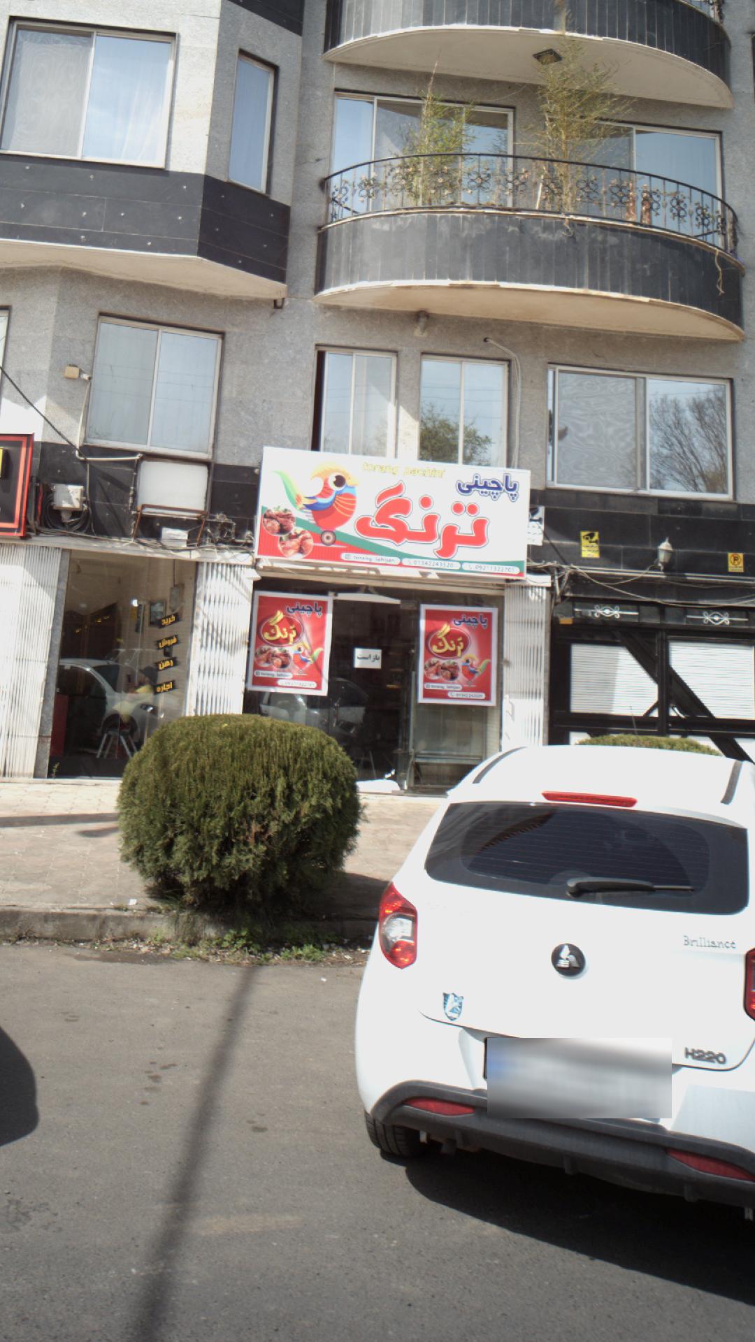 پاچینی ترنگ